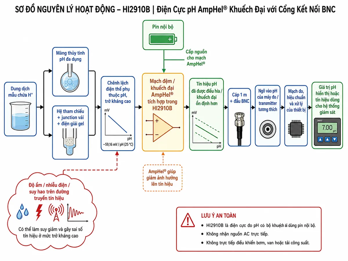 Vẽ sơ đồ nguyên lý hoạt động dạng block diagram kỹ thuật của Hanna HI2910B trên nền trắng, bố cục ngang. Bắt đầu từ “Dung dịch mẫu chứa H⁺” → tách tới “Màng thủy tinh pH đa dụng” và “Hệ tham chiếu + junction vải + điện giải gel” → “Chênh lệch điện thế phụ thuộc pH, trở kháng cao” → “Mạch đệm/khuếch đại AmpHel® tích hợp trong HI2910B”. Tạo nhánh riêng “Pin nội bộ” cấp nguồn cho mạch AmpHel® → “Tín hiệu pH đã được điều hòa/khuếch đại ổn định hơn” → “Cáp 1 m + đầu BNC” → “Ngõ vào pH của máy đo/transmitter tương thích” → “Mạch đo, hiệu chuẩn và xử lý của thiết bị” → “Giá trị pH hiển thị hoặc tín hiệu dùng cho hệ thống giám sát”. Thể hiện thêm tác động cần hạn chế từ “độ ẩm / nhiễu điện / suy hao trên đường truyền tín hiệu” và cho thấy bộ AmpHel® giúp giảm ảnh hưởng lên tín hiệu. Ghi chú HI2910B chỉ là điện cực đo pH có bộ khuếch đại dùng pin nội bộ, không nhận nguồn AC trực tiếp và không trực tiếp điều khiển bơm, van hoặc tải công suất.