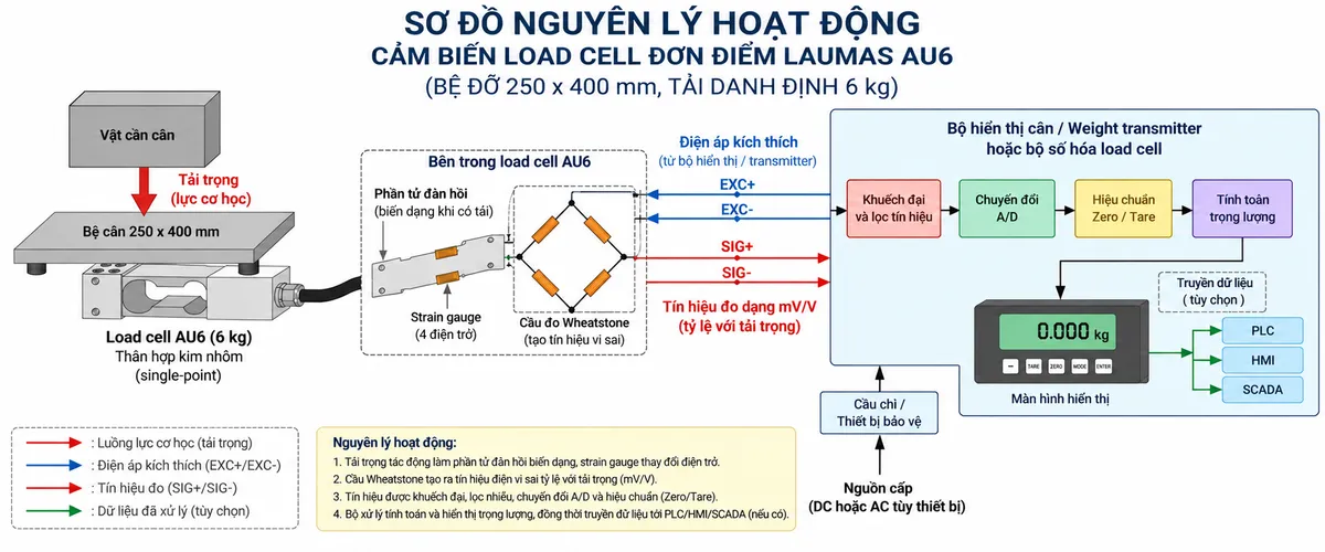 Vẽ sơ đồ nguyên lý hoạt động dạng khối cho Laumas AU6 trên nền trắng, bố cục ngang. Bắt đầu từ vật cần cân/tải trọng cơ học tác động xuống bệ cân 250 x 400 mm; lực truyền tới load cell single-point AU6 tải danh định 6 kg, thân hợp kim nhôm. Bên trong load cell thể hiện phần tử đàn hồi và bốn strain gauge mắc thành cầu Wheatstone. Từ bộ hiển thị cân hoặc weight transmitter vẽ nhánh điện áp kích thích EXC+/EXC- cấp vào cầu đo. Khi tải tác động, phần tử đàn hồi biến dạng làm điện trở strain gauge thay đổi và tạo tín hiệu vi sai SIG+/SIG- dạng mV/V. Tín hiệu đi tiếp qua các khối khuếch đại và lọc, chuyển đổi A/D, hiệu chuẩn/Zero/Tare, tính toán trọng lượng rồi tới màn hình hiển thị. Nếu bộ điện tử cân hỗ trợ giao tiếp công nghiệp thì vẽ thêm nhánh dữ liệu đã xử lý tới PLC/HMI/SCADA. Dùng mũi tên và chú thích tiếng Việt rõ ràng để phân biệt luồng lực cơ học, điện áp kích thích, tín hiệu đo mV/V và dữ liệu số đã xử lý.