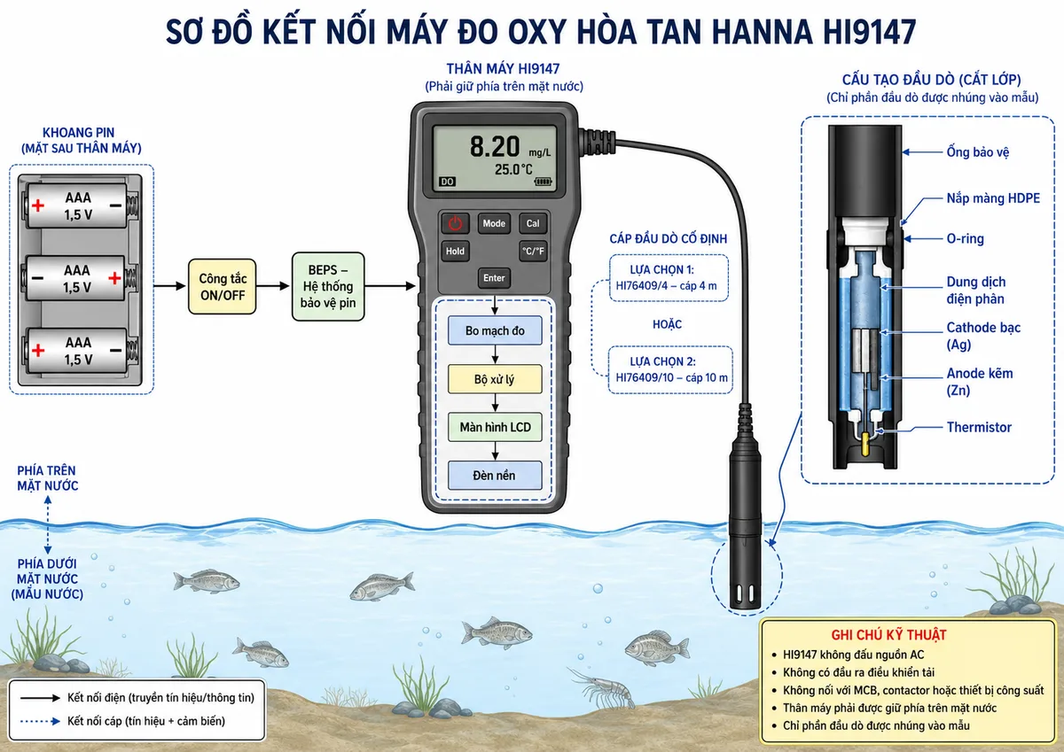 Vẽ sơ đồ kết nối của máy đo oxy hòa tan Hanna HI9147 trên nền trắng, bố cục ngang. Bên trái thể hiện nguồn 3 pin AAA 1,5 V mắc đúng cực dương và cực âm trong khoang pin; nguồn đi qua công tắc ON/OFF và hệ thống bảo vệ pin BEPS đến bo mạch đo, bộ xử lý, màn hình LCD và đèn nền của HI9147. Từ thân máy thể hiện cáp đầu dò cố định, lựa chọn HI76409/4 dài 4 m hoặc HI76409/10 dài 10 m, dẫn đến đầu dò nhúng trong ao hoặc bể nuôi. Phóng to đầu dò gồm ống bảo vệ, nắp màng HDPE, O-ring, dung dịch điện phân, cathode bạc, anode kẽm và thermistor. Ghi chú rõ: HI9147 không đấu nguồn AC, không có đầu ra điều khiển tải, không nối với MCB, contactor hoặc thiết bị công suất; thân máy phải được giữ phía trên mặt nước và chỉ phần đầu dò được nhúng vào mẫu.
