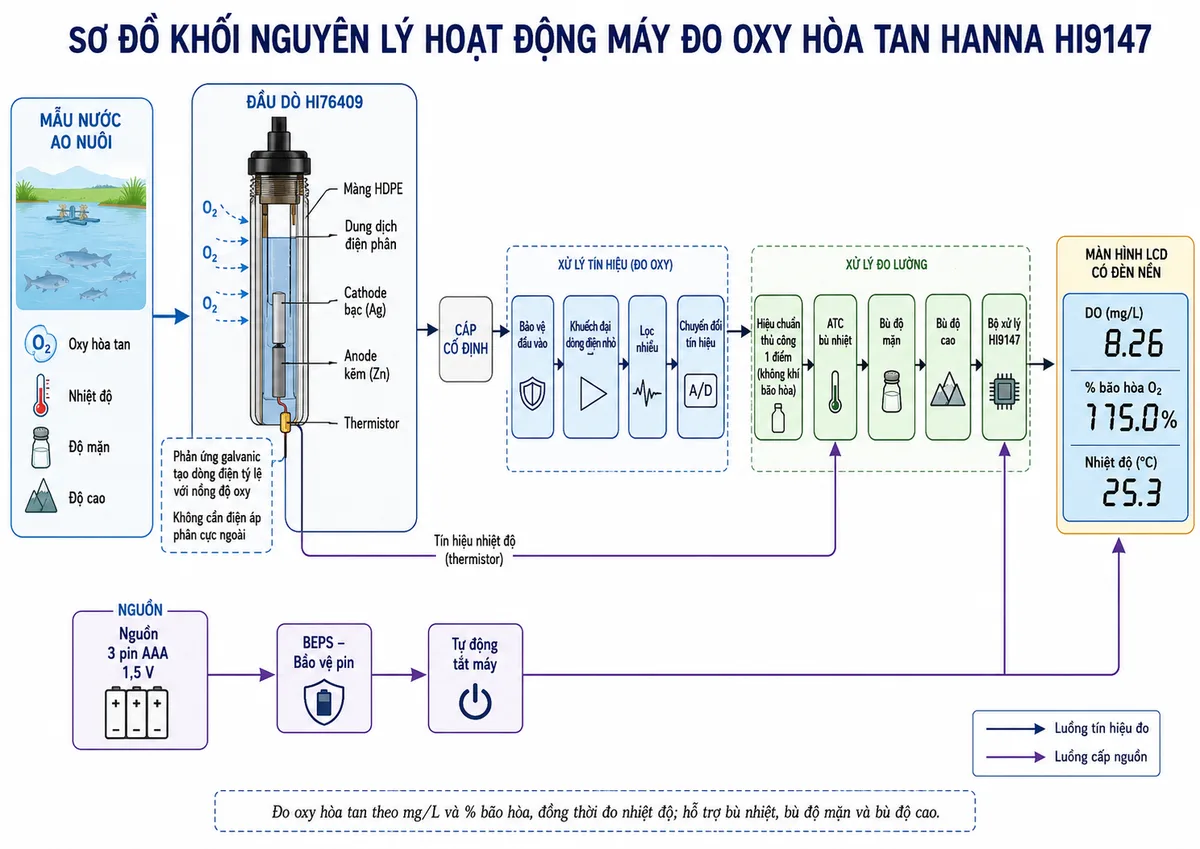 Vẽ sơ đồ khối nguyên lý hoạt động của Hanna HI9147 trên nền trắng, bố cục ngang. Luồng bắt đầu từ mẫu nước ao nuôi có oxy hòa tan, nhiệt độ, độ mặn và điều kiện độ cao. Oxy khuếch tán qua màng HDPE của đầu dò HI76409 vào dung dịch điện phân; thể hiện cathode bạc, anode kẽm và phản ứng galvanic tạo dòng điện tỷ lệ với nồng độ oxy mà không cần điện áp phân cực ngoài. Tách một nhánh từ thermistor tích hợp để tạo tín hiệu nhiệt độ. Hai tín hiệu đi qua cáp cố định đến khối bảo vệ đầu vào, khuếch đại dòng điện nhỏ, lọc nhiễu và chuyển đổi tín hiệu. Tiếp theo là khối hiệu chuẩn thủ công một điểm trong không khí bão hòa, khối ATC bù nhiệt, khối bù độ mặn và bù độ cao, sau đó vào bộ xử lý HI9147. Đầu ra hiển thị DO theo mg/L, phần trăm bão hòa O₂ và nhiệt độ trên màn hình LCD có đèn nền. Bổ sung nhánh nguồn 3 pin AAA qua BEPS và chức năng tự động tắt máy.