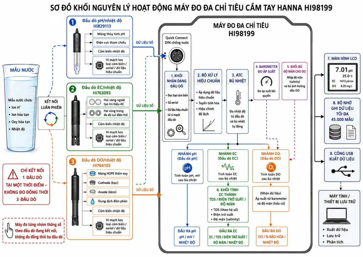 Vẽ sơ đồ khối nguyên lý hoạt động của Hanna HI98199 trên nền trắng, bố cục ngang. Luồng bắt đầu từ mẫu nước chứa ion H+, ion hòa tan, oxy hòa tan và nhiệt độ. Chia thành ba nhánh đầu dò được kết nối luân phiên với một cổng Quick Connect DIN: nhánh pH HI829113 gồm màng thủy tinh pH, điện cực tham chiếu và cảm biến nhiệt độ; nhánh EC HI763093 gồm hai vòng ngoài tạo tín hiệu AC, hai vòng trong đo độ sụt điện thế và cảm biến nhiệt độ; nhánh DO HI764103 gồm màng HDPE thấm oxy, cathode bạc, anode kẽm, dung dịch điện phân và cảm biến nhiệt độ. Trong mỗi đầu dò thể hiện vi mạch lưu loại cảm biến, serial và dữ liệu hiệu chuẩn, sau đó truyền dữ liệu số đến thân máy HI98199. Bên trong máy thể hiện khối nhận dạng đầu dò, bộ xử lý hiệu chuẩn, ATC bù nhiệt, barometer đo áp suất, khối bù độ mặn cho DO, khối tính EC thành TDS/điện trở suất/độ mặn, màn hình LCD, bộ nhớ ghi tối đa 45.000 mẫu và cổng USB xuất dữ liệu. Ghi chú rõ máy đo từng nhóm thông số theo đầu dò đang kết nối, không đo đồng thời ba đầu dò.