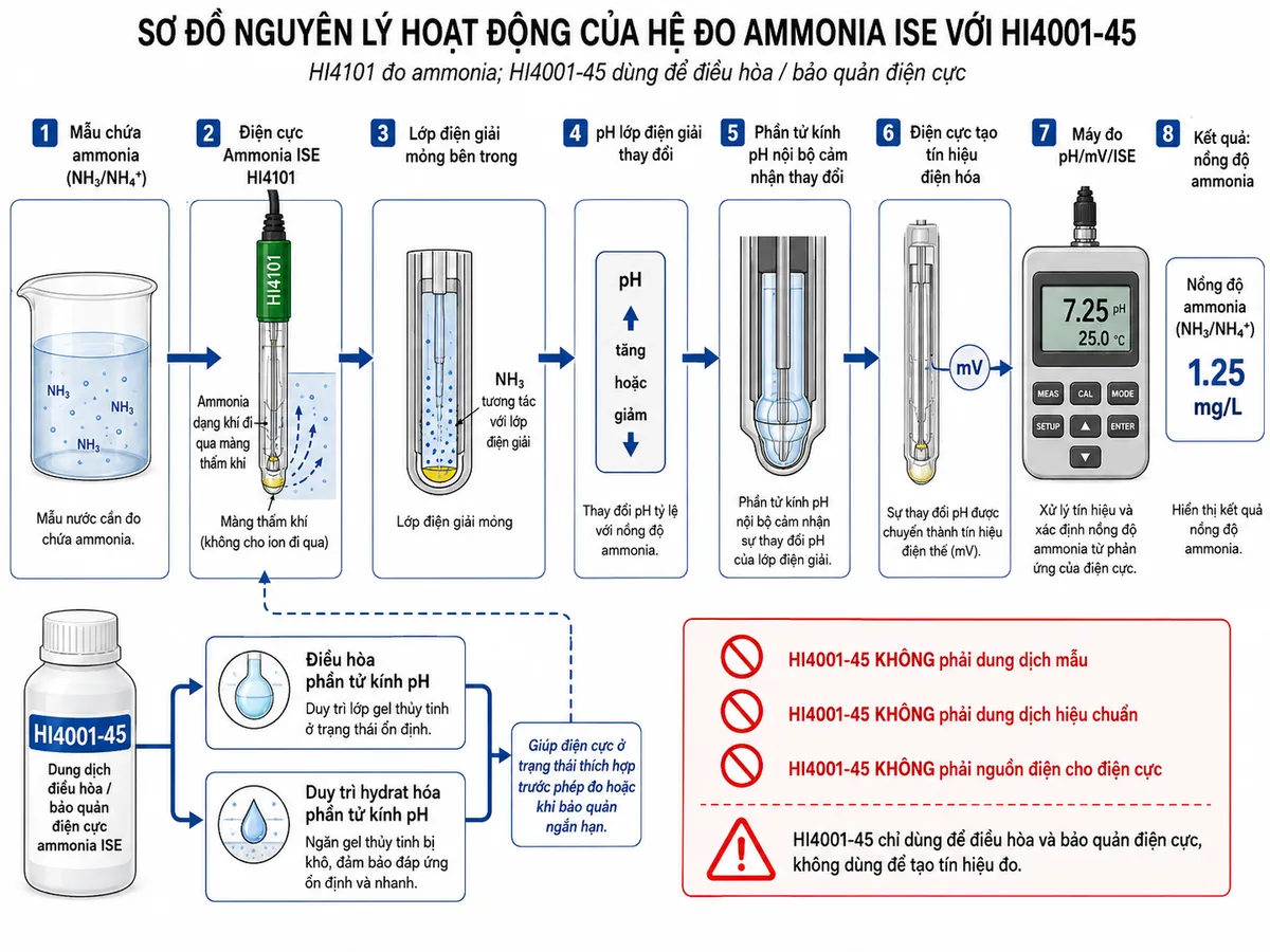 Sơ đồ nguyên lý hoạt động liên quan đến Hanna HI4001-45 và điện cực Ammonia ISE HI4101 dạng khối chức năng từ trái sang phải: mẫu chứa ammonia → ammonia dạng khí đi qua màng thấm khí của HI4101 → tương tác với lớp điện giải mỏng bên trong → pH của lớp điện giải thay đổi → phần tử kính pH nội bộ cảm nhận thay đổi → điện cực tạo tín hiệu điện hóa → máy đo pH/mV/ISE xử lý và xác định nồng độ ammonia. Bổ sung một nhánh chức năng riêng từ chai HI4001-45 → điều hòa và duy trì hydrat hóa phần tử kính pH → giúp điện cực ở trạng thái thích hợp trước phép đo hoặc khi bảo quản ngắn hạn. Dùng mũi tên rõ ràng và nhấn mạnh HI4001-45 không phải dung dịch mẫu, không phải dung dịch hiệu chuẩn và không phải nguồn điện cho điện cực.