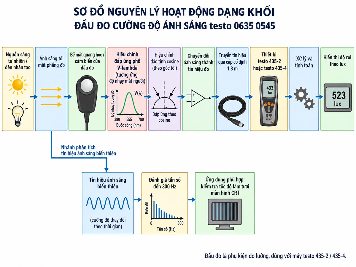 Sơ đồ nguyên lý hoạt động dạng khối của đầu đo cường độ ánh sáng testo 0635 0545 trên nền trắng, bố cục ngang, chú thích tiếng Việt. Luồng chính: nguồn sáng tự nhiên hoặc đèn nhân tạo → ánh sáng tới mặt phẳng đo → bề mặt quang học/cảm biến của đầu đo → đáp ứng phổ hiệu chỉnh theo V-lambda tương ứng độ nhạy mắt người → hiệu chỉnh đặc tính cosine theo góc tới → chuyển đổi ánh sáng thành tín hiệu đo → truyền tín hiệu qua cáp cố định 1,8 m → thiết bị testo 435-2 hoặc testo 435-4 → xử lý và tính toán → hiển thị độ rọi theo lux. Tách thêm nhánh từ tín hiệu ánh sáng biến thiên tới chức năng đánh giá tần số đến 300 Hz, dùng trong ứng dụng phù hợp như kiểm tra tốc độ làm tươi màn hình CRT.