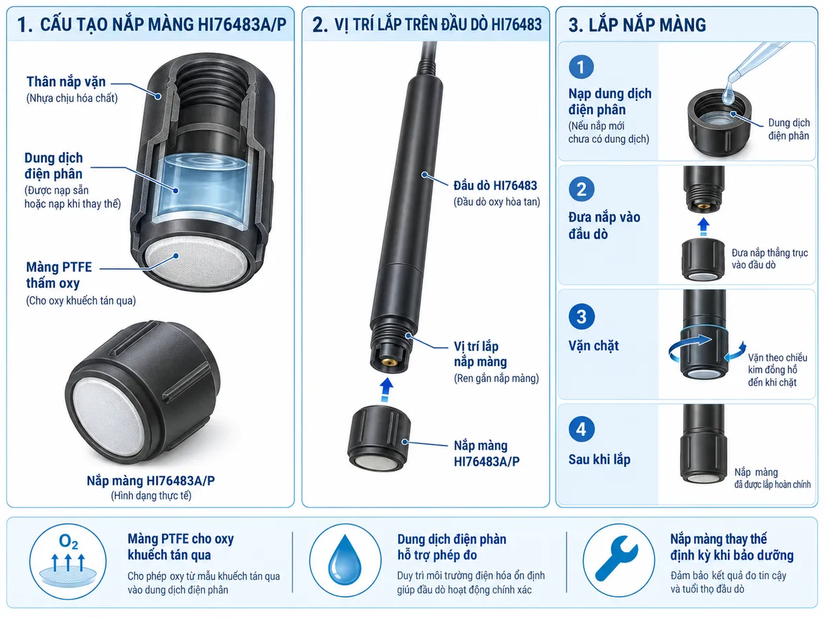 Sơ đồ cấu tạo nắp màng HI76483A/P gồm thân nắp vặn, màng PTFE thấm oxy, dung dịch điện phân và vị trí lắp trên đầu dò HI76483