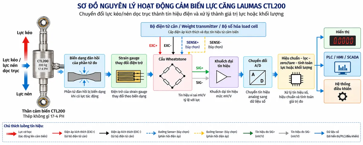 Vẽ sơ đồ nguyên lý hoạt động dạng khối cho Laumas CTL200 trên nền trắng, bố cục ngang. Bắt đầu từ khối “Lực kéo / lực nén dọc trục” → “Thân cảm biến CTL200 – thép không gỉ 17-4 PH” → “Biến dạng đàn hồi của phần tử đo” → “Strain gauge thay đổi điện trở” → “Cầu Wheatstone”. Từ bộ điện tử cân thể hiện EXC+/EXC- cấp điện áp kích thích vào cầu Wheatstone; nếu cấu hình 6 dây được hỗ trợ thì thể hiện SENSE+/SENSE- là đường phản hồi điện áp; từ cầu Wheatstone thể hiện SIG+/SIG- là tín hiệu vi sai tỷ lệ với lực đi tới “Khuếch đại tín hiệu” → “Chuyển đổi A/D” → “Hiệu chuẩn – lọc – zero/tare – tính toán lực hoặc khối lượng”. Cuối sơ đồ chia ba nhánh tới “Hiển thị”, “PLC/HMI/SCADA” và “Hệ thống điều khiển”. Dùng màu và mũi tên riêng để phân biệt lực cơ học, excitation, sense, tín hiệu đo và dữ liệu số.