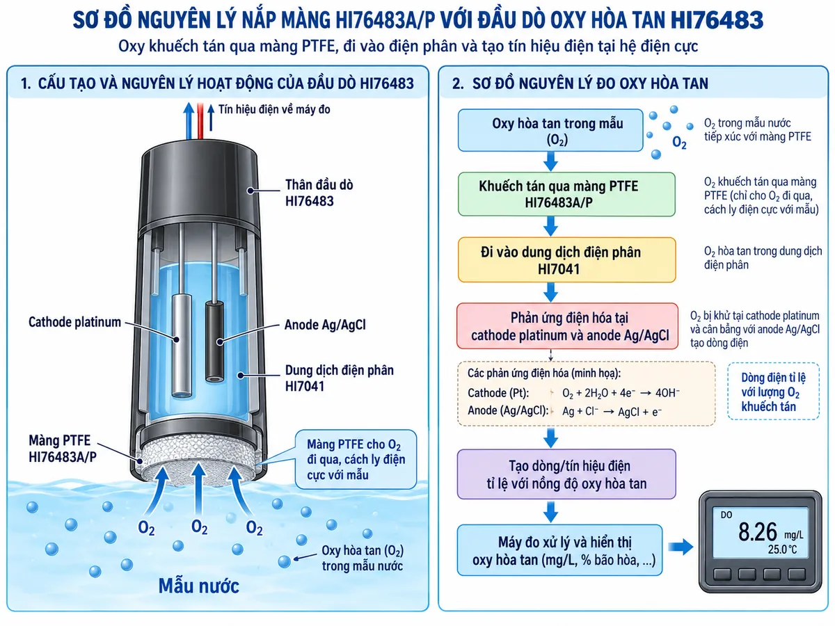 Sơ đồ nguyên lý oxy trong mẫu khuếch tán qua màng PTFE HI76483A/P, đi vào dung dịch điện phân và tạo tín hiệu điện tại hệ cathode platinum và anode Ag/AgCl của đầu dò HI76483