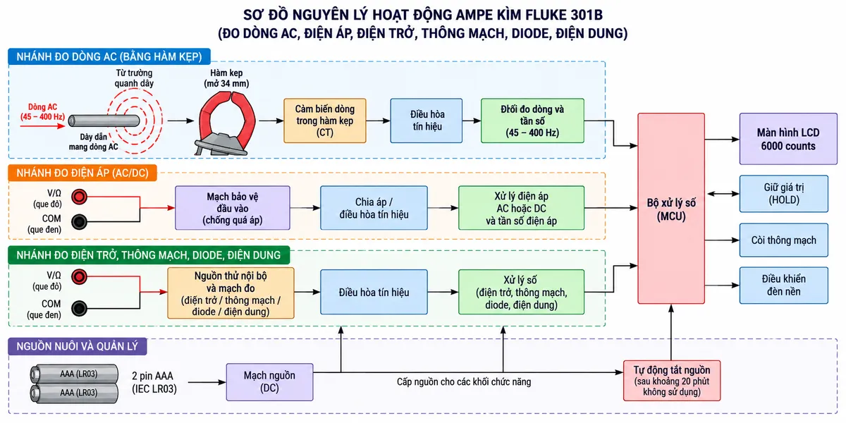Sơ đồ nguyên lý hoạt động dạng khối của Ampe kìm FLUKE 301B trên nền trắng, bố cục ngang, chú thích tiếng Việt. Nhánh đo dòng AC: dây dẫn mang dòng AC → từ trường quanh dây → hàm kẹp mở 34 mm → cảm biến dòng trong hàm → điều hòa tín hiệu → khối đo dòng và tần số 45–400 Hz → chuyển đổi/xử lý số → màn hình LCD 6000 counts; thêm khối HOLD giữ giá trị. Nhánh đo điện áp: cổng V/Ω và COM → mạch bảo vệ đầu vào → chia áp/điều hòa tín hiệu → xử lý điện áp AC hoặc DC và tần số điện áp → bộ xử lý số → màn hình. Nhánh điện trở/thông mạch/diode/điện dung: cổng V/Ω-COM → nguồn thử và mạch đo tương ứng → xử lý số → màn hình và còi thông mạch. Thêm nguồn nuôi 2 pin AAA cấp cho các khối điện tử, khối tự động tắt nguồn và điều khiển đèn nền. Không ghi True-RMS vì FLUKE 301B không có chức năng True-RMS. Phong cách sơ đồ kỹ thuật điện công nghiệp, đường tín hiệu và mũi tên rõ ràng, không logo, không watermark.