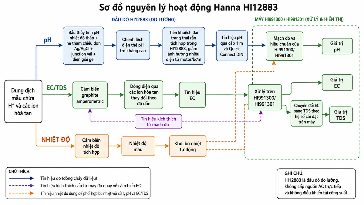 Vẽ sơ đồ nguyên lý hoạt động dạng block diagram kỹ thuật của Hanna HI12883 trên nền trắng, bố cục ngang. Bắt đầu từ “Dung dịch mẫu chứa H⁺ và các ion hòa tan”, sau đó chia thành ba nhánh. Nhánh pH: “Bầu thủy tinh pH nhiệt độ thấp + hệ tham chiếu đơn Ag/AgCl + junction vải + điện giải gel” → “Chênh lệch điện thế pH trở kháng cao” → “Tiền khuếch đại trạng thái rắn tích hợp trong HI12883, giảm ảnh hưởng nhiễu điện từ motor/bơm” → “Tín hiệu pH qua cáp 1 m và Quick Connect DIN” → “Mạch đo và hiệu chuẩn của HI991300/HI991301” → “Giá trị pH”. Nhánh EC/TDS: “Cảm biến graphite amperometric” nhận “Tín hiệu kích thích từ mạch đo” → “Dòng điện qua các ion hòa tan thay đổi theo độ dẫn” → “Tín hiệu EC” → “Xử lý trên HI991300/HI991301” → tách thành “Giá trị EC” và “Chuyển đổi EC sang TDS theo hệ số cài đặt trên máy” → “Giá trị TDS”. Nhánh nhiệt độ: “Cảm biến nhiệt độ tích hợp” → “Nhiệt độ mẫu” → “Khối bù nhiệt tự động” → phối hợp với xử lý pH và EC/TDS. Ghi chú HI12883 là đầu dò đo lường, không cấp nguồn AC trực tiếp và không điều khiển tải công suất.