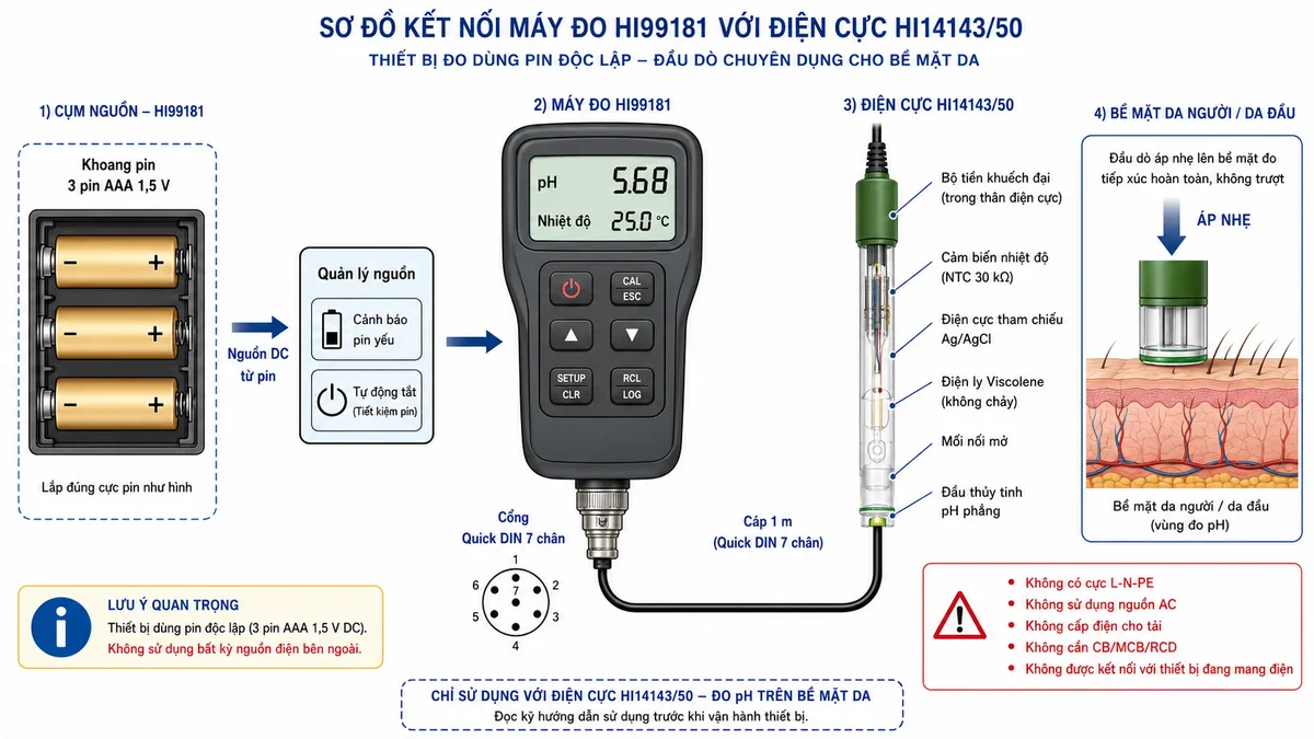 Vẽ sơ đồ kết nối Hanna HI99181 trên nền trắng, bố cục ngang và nhãn tiếng Việt. Bên trái thể hiện khoang nguồn gồm 3 pin AAA 1,5 V với cực dương và cực âm, đi vào khối quản lý nguồn, cảnh báo pin yếu và tự động tắt của máy HI99181. Ở giữa là thân máy với màn hình pH và nhiệt độ, cổng Quick DIN 7 chân ở đáy máy. Từ cổng Quick DIN, vẽ cáp 1 m nối đến điện cực HI14143/50 gồm đầu thủy tinh pH phẳng, điện cực tham chiếu Ag/AgCl, mối nối mở, điện ly Viscolene, cảm biến nhiệt độ và bộ tiền khuếch đại. Bên phải là bề mặt da người hoặc da đầu tiếp xúc với đầu dò. Ghi chú rõ thiết bị không có cực L-N-PE, không sử dụng nguồn AC, không cấp điện cho tải, không cần CB/MCB/RCD và không được kết nối với thiết bị đang mang điện.