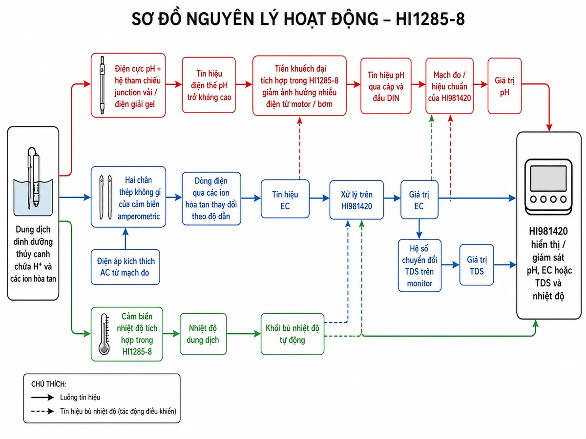 Vẽ sơ đồ nguyên lý hoạt động dạng block diagram kỹ thuật của Hanna HI1285-8 trên nền trắng, bố cục ngang. Bắt đầu từ “Dung dịch dinh dưỡng thủy canh chứa H⁺ và các ion hòa tan” rồi chia thành ba nhánh. Nhánh pH: “Điện cực pH + hệ tham chiếu junction vải/điện giải gel” → “Tín hiệu điện thế pH trở kháng cao” → “Tiền khuếch đại tích hợp trong HI1285-8, giảm ảnh hưởng nhiễu điện từ motor/bơm” → “Tín hiệu pH qua cáp và đầu DIN” → “Mạch đo/hiệu chuẩn của HI981420” → “Giá trị pH”. Nhánh EC/TDS: “Hai chân thép không gỉ của cảm biến amperometric” nhận “Điện áp kích thích AC từ mạch đo” → “Dòng điện qua các ion hòa tan thay đổi theo độ dẫn” → “Tín hiệu EC” → “Xử lý trên HI981420” → “Giá trị EC”; từ EC tạo nhánh “Hệ số chuyển đổi TDS trên monitor” → “Giá trị TDS”. Nhánh nhiệt độ: “Cảm biến nhiệt độ tích hợp trong HI1285-8” → “Nhiệt độ dung dịch” → “Khối bù nhiệt độ tự động” → tác động vào xử lý pH và EC/TDS. Cuối sơ đồ hợp nhất thành “HI981420 hiển thị/giám sát pH, EC hoặc TDS và nhiệt độ”.