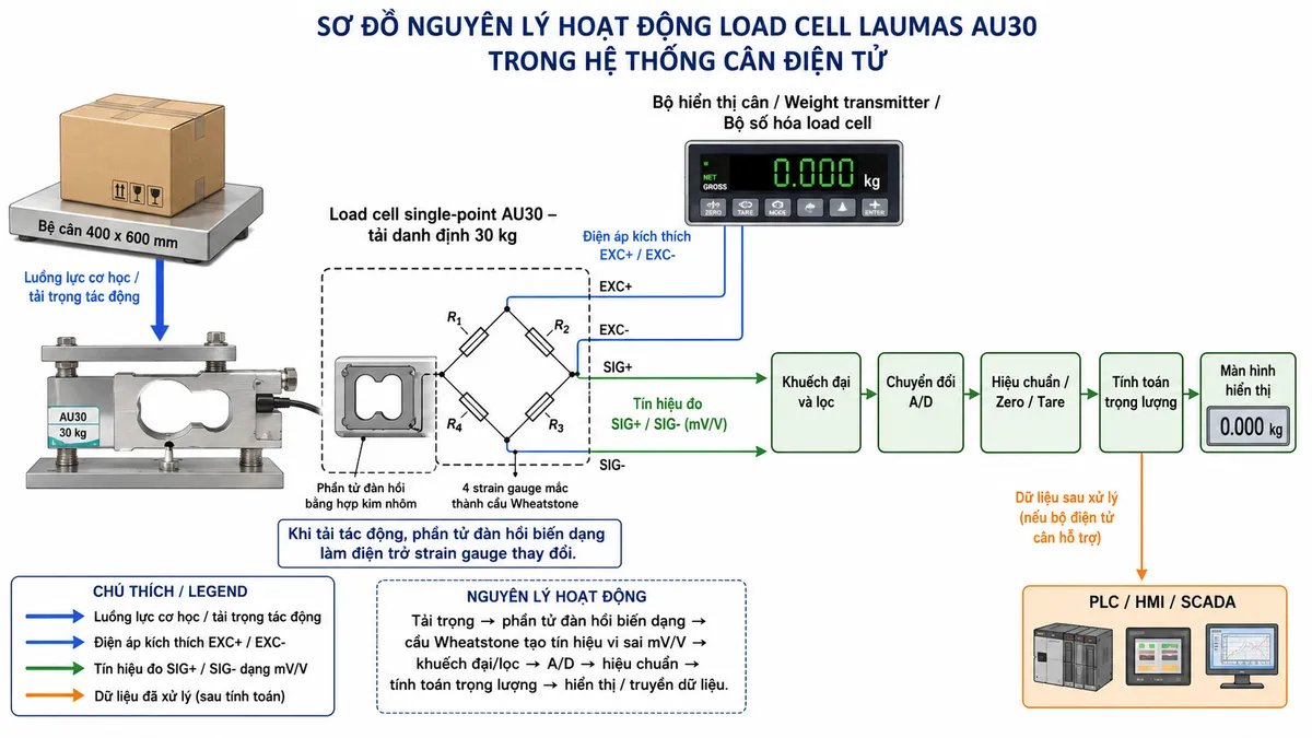 Vẽ sơ đồ nguyên lý hoạt động dạng khối cho Laumas AU30 trên nền trắng, bố cục ngang. Bắt đầu từ vật cần cân/tải trọng cơ học tác động xuống bệ cân 400 x 600 mm theo datasheet LAUMAS hiện hành; lực truyền tới load cell single-point AU30 tải danh định 30 kg. Bên trong load cell thể hiện phần tử đàn hồi bằng hợp kim nhôm và bốn strain gauge mắc thành cầu Wheatstone. Từ bộ hiển thị cân hoặc weight transmitter vẽ nhánh EXC+/EXC- cấp điện áp kích thích vào cầu đo. Khi tải tác động, phần tử đàn hồi biến dạng làm điện trở strain gauge thay đổi và tạo tín hiệu vi sai SIG+/SIG- dạng mV/V. Tín hiệu đi tiếp qua khối khuếch đại và lọc, chuyển đổi A/D, hiệu chuẩn/Zero/Tare, tính toán trọng lượng rồi tới màn hình hiển thị. Nếu bộ điện tử cân hỗ trợ thì vẽ thêm nhánh dữ liệu đã xử lý tới PLC/HMI/SCADA. Phân biệt rõ bằng mũi tên và chú thích tiếng Việt cho luồng lực cơ học, điện áp kích thích, tín hiệu đo và dữ liệu sau xử lý.