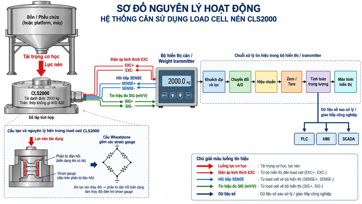 Vẽ sơ đồ nguyên lý hoạt động dạng khối cho cảm biến lực nén Laumas CLS2000 trên nền trắng, bố cục ngang. Bắt đầu từ tải trọng của bồn, phễu, platform hoặc máy truyền xuống điểm đỡ và tác động lực nén lên CLS2000 tải danh định 2000 kg. Bên trong cảm biến thể hiện phần tử đàn hồi bằng thép không gỉ AISI 420 và các strain gauge mắc thành cầu Wheatstone. Từ bộ hiển thị cân hoặc weight transmitter vẽ EXC+/EXC- cấp điện áp kích thích tới cầu đo và SENSE+/SENSE- hồi tiếp điện áp kích thích thực tế về thiết bị đọc. Khi tải thay đổi, phần tử đàn hồi biến dạng làm điện trở strain gauge thay đổi và tạo tín hiệu vi sai SIG+/SIG- dạng mV/V. Tín hiệu tiếp tục qua khối khuếch đại và lọc, chuyển đổi A/D, hiệu chuẩn, Zero/Tare, tính toán trọng lượng rồi tới màn hình hiển thị. Nếu thiết bị điện tử cân hỗ trợ giao tiếp công nghiệp, thêm nhánh dữ liệu số sau xử lý tới PLC/HMI/SCADA. Dùng mũi tên và chú thích tiếng Việt để phân biệt luồng lực cơ học, điện áp kích thích EXC, hồi tiếp SENSE, tín hiệu đo SIG dạng mV/V và dữ liệu số sau xử lý.