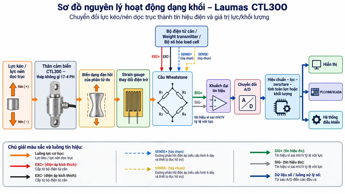 Vẽ sơ đồ nguyên lý hoạt động dạng khối cho Laumas CTL300 trên nền trắng, bố cục ngang. Luồng chính từ trái sang phải gồm “Lực kéo / lực nén dọc trục” → “Thân cảm biến CTL300 – thép không gỉ 17-4 PH” → “Biến dạng đàn hồi của phần tử đo” → “Strain gauge thay đổi điện trở” → “Cầu Wheatstone”. Từ bộ điện tử cân phía trên thể hiện EXC+/EXC- cấp điện áp kích thích vào cầu Wheatstone; nếu cấu hình 6 dây và thiết bị đọc hỗ trợ thì vẽ SENSE+/SENSE- là đường phản hồi điện áp để bù sụt áp; từ cầu Wheatstone vẽ SIG+/SIG- là tín hiệu vi sai mV/V tỷ lệ với lực đi tới “Khuếch đại tín hiệu” → “Chuyển đổi A/D” → “Hiệu chuẩn – lọc – zero/tare – tính toán lực hoặc khối lượng”. Cuối sơ đồ chia ba nhánh tới “Hiển thị”, “PLC/HMI/SCADA” và “Hệ thống điều khiển”. Dùng màu và mũi tên riêng để phân biệt luồng lực cơ học, excitation, sense, tín hiệu đo analog và dữ liệu số.