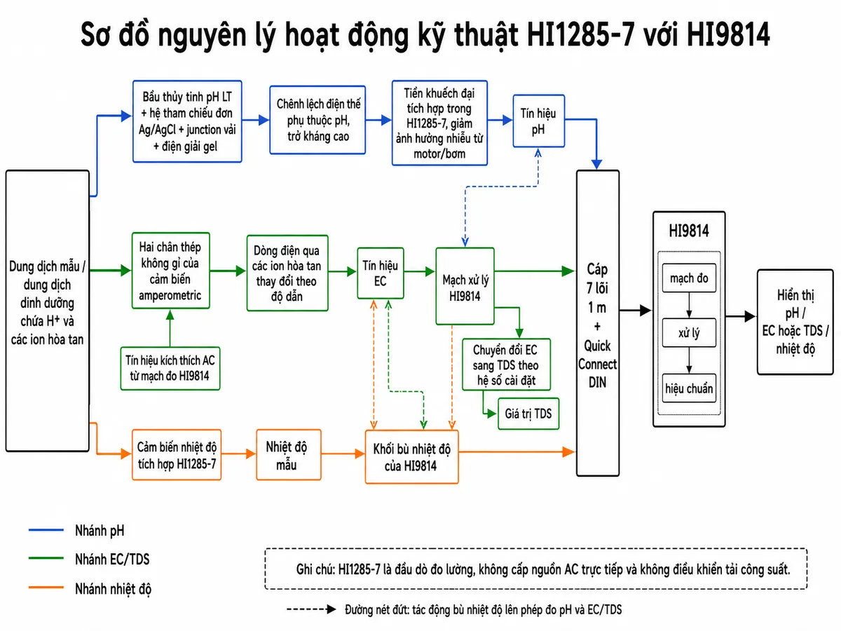 Vẽ sơ đồ nguyên lý hoạt động dạng block diagram kỹ thuật của Hanna HI1285-7 trên nền trắng, bố cục ngang. Bắt đầu từ khối “Dung dịch mẫu/dung dịch dinh dưỡng chứa H⁺ và các ion hòa tan”, sau đó chia thành ba nhánh. Nhánh pH: “Bầu thủy tinh pH LT + hệ tham chiếu đơn Ag/AgCl + junction vải + điện giải gel” → “Chênh lệch điện thế phụ thuộc pH, trở kháng cao” → “Tiền khuếch đại tích hợp trong HI1285-7, giảm ảnh hưởng nhiễu từ motor/bơm” → “Tín hiệu pH”. Nhánh EC/TDS: “Hai chân thép không gỉ của cảm biến amperometric” nhận “Tín hiệu kích thích AC từ mạch đo HI9814” → “Dòng điện qua các ion hòa tan thay đổi theo độ dẫn” → “Tín hiệu EC” → “Mạch xử lý HI9814” → tách thành “Giá trị EC” và “Chuyển đổi EC sang TDS theo hệ số cài đặt” → “Giá trị TDS”. Nhánh nhiệt độ: “Cảm biến nhiệt độ tích hợp HI1285-7” → “Nhiệt độ mẫu” → “Khối bù nhiệt độ của HI9814”, liên kết với phép đo pH và EC/TDS. Hợp nhất tín hiệu qua “Cáp 7 lõi 1 m + Quick Connect DIN” → “HI9814” → “Hiển thị pH / EC hoặc TDS / nhiệt độ”. Ghi chú HI1285-7 là đầu dò đo lường, không cấp nguồn AC trực tiếp và không điều khiển tải công suất.