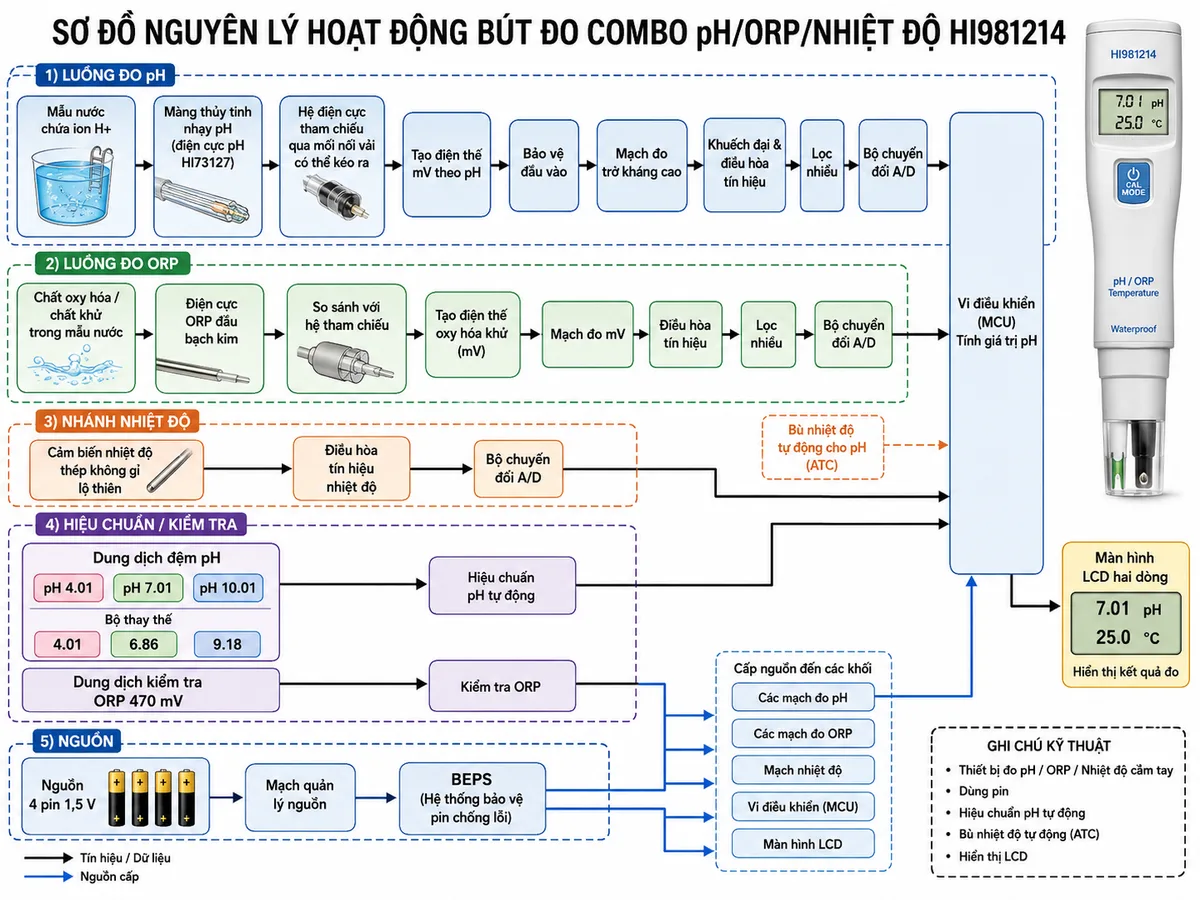 Sơ đồ nguyên lý hoạt động dạng khối của Bút Đo Combo pH/ORP/Nhiệt Độ Hanna HI981214, nền trắng, bố cục ngang, phong cách kỹ thuật đo lường và nhãn tiếng Việt; luồng pH bắt đầu từ mẫu nước chứa ion H+ đi tới màng thủy tinh nhạy pH của điện cực HI73127, so sánh với hệ tham chiếu qua mối nối vải có thể kéo ra để tạo điện thế mV, sau đó qua bảo vệ đầu vào, mạch đo trở kháng cao, khuếch đại và điều hòa tín hiệu, lọc nhiễu, bộ chuyển đổi A/D và vi điều khiển tính giá trị pH; luồng ORP bắt đầu từ các chất oxy hóa và chất khử trong mẫu nước đi tới điện cực bạch kim, tạo điện thế oxy hóa khử so với hệ tham chiếu rồi qua mạch đo mV, điều hòa tín hiệu, lọc nhiễu và A/D tới vi điều khiển; vẽ nhánh riêng từ cảm biến nhiệt độ thép không gỉ qua điều hòa tín hiệu và A/D tới vi điều khiển để bù nhiệt độ tự động cho pH; bổ sung nhánh hiệu chuẩn pH tự động từ dung dịch đệm pH 4.01, 7.01, 10.01 hoặc bộ 4.01, 6.86, 9.18, nhánh kiểm tra ORP bằng dung dịch 470 mV, nhánh nguồn 4 pin 1,5 V qua quản lý nguồn và BEPS, cuối cùng vi điều khiển truyền kết quả tới màn hình LCD hai dòng hiển thị pH hoặc ORP cùng nhiệt độ.