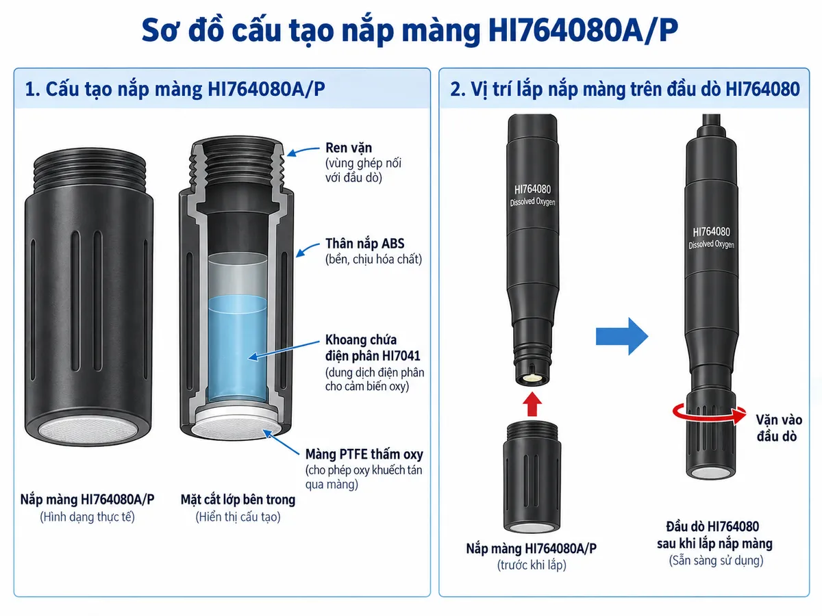 Sơ đồ nguyên lý oxy trong mẫu khuếch tán qua màng PTFE HI764080A/P, đi vào dung dịch điện phân HI7041 và tạo tín hiệu điện tại cathode platinum và anode Ag/AgCl của đầu dò HI764080