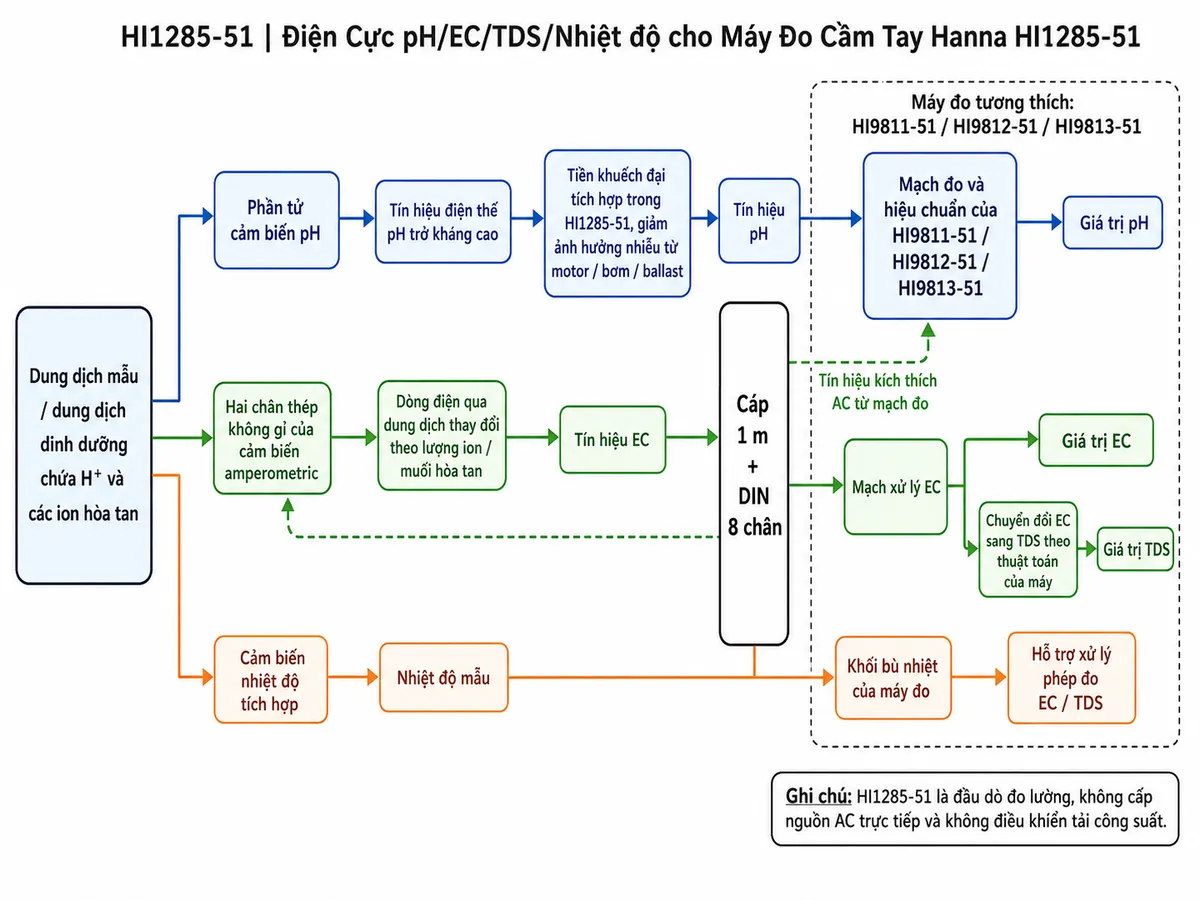 Vẽ sơ đồ nguyên lý hoạt động dạng block diagram kỹ thuật của Hanna HI1285-51 trên nền trắng, bố cục ngang. Bắt đầu từ khối “Dung dịch mẫu/dung dịch dinh dưỡng chứa H⁺ và các ion hòa tan”, sau đó chia thành ba nhánh. Nhánh pH: “Phần tử cảm biến pH” → “Tín hiệu điện thế pH trở kháng cao” → “Tiền khuếch đại tích hợp trong HI1285-51, giảm ảnh hưởng nhiễu từ motor/bơm/ballast” → “Tín hiệu pH” → “Mạch đo và hiệu chuẩn của HI9811-51/HI9812-51/HI9813-51” → “Giá trị pH”. Nhánh EC/TDS: “Hai chân thép không gỉ của cảm biến amperometric” nhận “Tín hiệu kích thích AC từ mạch đo” → “Dòng điện qua dung dịch thay đổi theo lượng ion/muối hòa tan” → “Tín hiệu EC” → “Mạch xử lý EC” → tách thành “Giá trị EC” và “Chuyển đổi EC sang TDS theo thuật toán của máy” → “Giá trị TDS”. Nhánh nhiệt độ: “Cảm biến nhiệt độ tích hợp” → “Nhiệt độ mẫu” → “Khối bù nhiệt của máy đo” → hỗ trợ xử lý phép đo EC/TDS. Hợp nhất đường tín hiệu tại “Cáp 1 m + DIN 8 chân” trước khi vào máy đo. Ghi chú HI1285-51 là đầu dò đo lường, không cấp nguồn AC trực tiếp và không điều khiển tải công suất.
