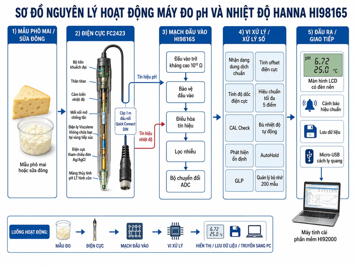Vẽ sơ đồ nguyên lý hoạt động dạng khối của máy đo pH và nhiệt độ chuyên trong phô mai Hanna HI98165 trên nền trắng, bố cục ngang và nhãn tiếng Việt. Luồng bắt đầu từ mẫu phô mai hoặc sữa đông đi vào điện cực FC2423 gồm màng thủy tinh pH LT hình côn, điện cực tham chiếu đơn Ag/AgCl, điện ly Viscolene không chứa bạc tại vùng tiếp xúc, mối nối mở chống tắc, cảm biến nhiệt độ, thân titan và bộ tiền khuếch đại. Tín hiệu pH và nhiệt độ truyền qua cáp 1 m cùng đầu nối Quick Connect DIN đến mạch đầu vào trở kháng cao 10¹² Ω của HI98165, sau đó qua bảo vệ đầu vào, điều hòa tín hiệu, lọc nhiễu và bộ chuyển đổi ADC. Sau ADC là vi xử lý với các khối nhận dạng dung dịch chuẩn, tính offset và độ dốc điện cực, hiệu chuẩn tối đa 5 điểm, CAL Check, bù nhiệt độ tự động, phát hiện ổn định, AutoHold, GLP và quản lý bộ nhớ 200 mẫu. Đầu ra gồm màn hình LCD có đèn nền, cảnh báo hiệu chuẩn, lưu dữ liệu và truyền qua micro-USB cách ly quang tới phần mềm HI92000 trên máy tính.