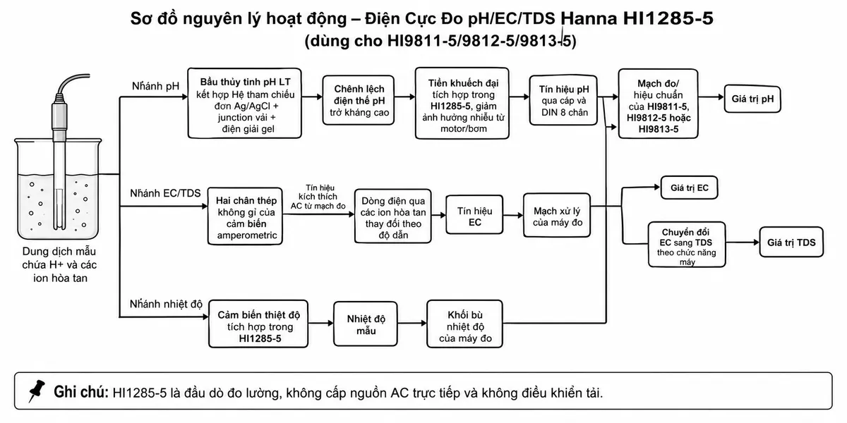 Vẽ sơ đồ nguyên lý hoạt động dạng block diagram kỹ thuật của Hanna HI1285-5 trên nền trắng, bố cục ngang. Bắt đầu từ “Dung dịch mẫu chứa H+ và các ion hòa tan”, sau đó chia thành ba nhánh. Nhánh pH: “Bầu thủy tinh pH LT” kết hợp “Hệ tham chiếu đơn Ag/AgCl + junction vải + điện giải gel” → “Chênh lệch điện thế pH trở kháng cao” → “Tiền khuếch đại tích hợp trong HI1285-5, giảm ảnh hưởng nhiễu từ motor/bơm” → “Tín hiệu pH qua cáp và DIN 8 chân” → “Mạch đo/hiệu chuẩn của HI9811-5, HI9812-5 hoặc HI9813-5” → “Giá trị pH”. Nhánh EC/TDS: “Hai chân thép không gỉ của cảm biến amperometric” nhận “Tín hiệu kích thích AC từ mạch đo” → “Dòng điện qua các ion hòa tan thay đổi theo độ dẫn” → “Tín hiệu EC” → “Mạch xử lý của máy đo” → tách thành “Giá trị EC” và “Chuyển đổi EC sang TDS theo chức năng máy” → “Giá trị TDS”. Nhánh nhiệt độ: “Cảm biến nhiệt độ tích hợp trong HI1285-5” → “Nhiệt độ mẫu” → “Khối bù nhiệt độ của máy đo” → kết hợp với các nhánh pH và EC/TDS. Ghi chú HI1285-5 là đầu dò đo lường, không cấp nguồn AC trực tiếp và không điều khiển tải.