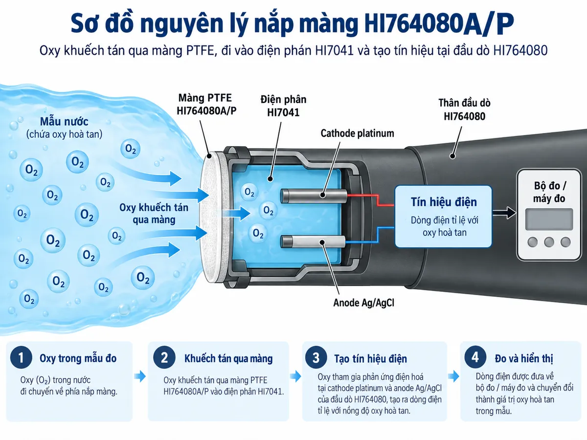 Sơ đồ cấu tạo nắp bảo vệ trong suốt Hanna HI740211 và vị trí lắp che phần màng/cảm biến tại đầu đầu dò oxy hòa tan