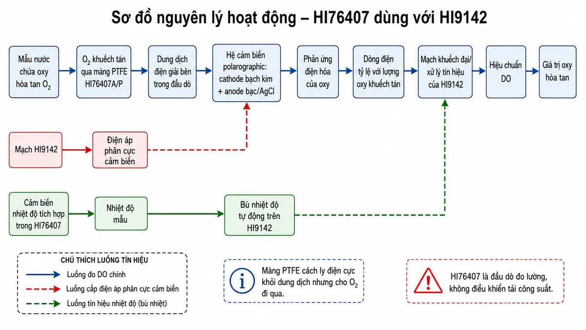 Vẽ sơ đồ nguyên lý hoạt động dạng block diagram kỹ thuật của Hanna HI76407 trên nền trắng, bố cục ngang. Bắt đầu từ khối “Mẫu nước chứa oxy hòa tan O₂” → “O₂ khuếch tán qua màng PTFE HI76407A/P” → “Dung dịch điện giải bên trong đầu dò” → “Hệ cảm biến polarographic: cathode bạch kim + anode bạc/AgCl”. Tạo nhánh từ “Mạch HI9142” → “Điện áp phân cực cảm biến” → hệ điện cực. Từ hệ điện cực → “Phản ứng điện hóa của oxy” → “Dòng điện tỷ lệ với lượng oxy khuếch tán” → “Mạch khuếch đại/xử lý tín hiệu của HI9142” → “Hiệu chuẩn DO” → “Giá trị oxy hòa tan”. Tạo nhánh song song “Cảm biến nhiệt độ tích hợp trong HI76407” → “Nhiệt độ mẫu” → “Bù nhiệt độ tự động trên HI9142” → hợp nhất tại khối xử lý DO. Ghi chú rằng màng cách ly điện cực khỏi dung dịch nhưng cho oxy đi qua và HI76407 là đầu dò đo lường, không điều khiển tải công suất.