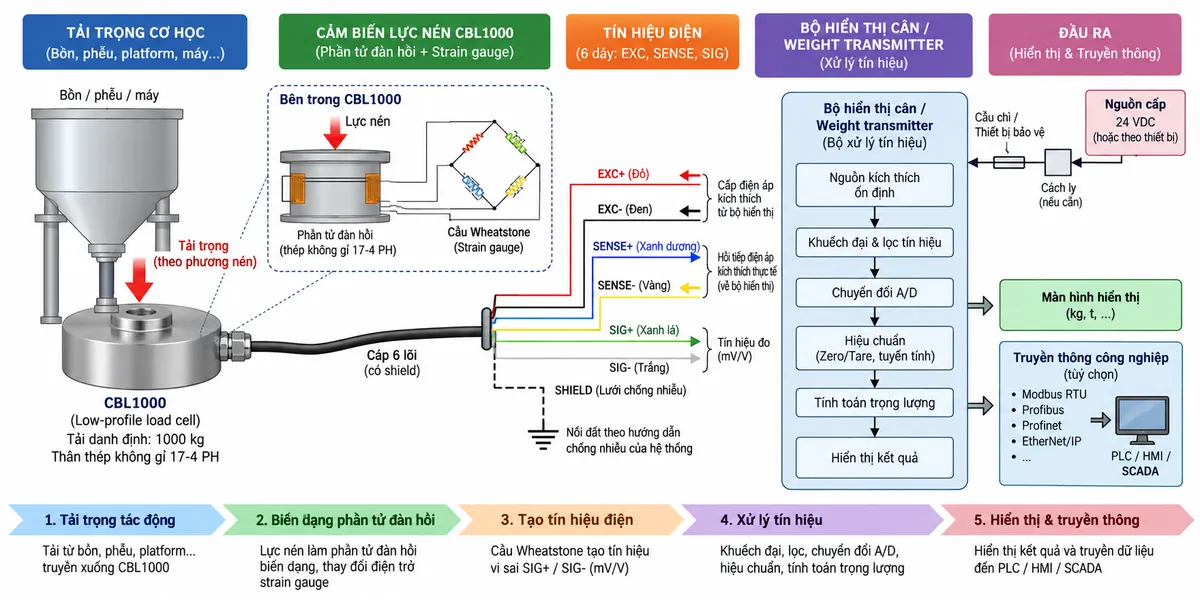 Vẽ sơ đồ nguyên lý hoạt động dạng khối cho cảm biến lực nén Laumas CBL1000 trên nền trắng, bố cục ngang. Bắt đầu từ tải trọng của platform, máy, bồn hoặc phễu truyền xuống điểm đỡ và tác động lực nén lên CBL1000 tải danh định 1000 kg. Bên trong cảm biến thể hiện phần tử đàn hồi bằng thép không gỉ 17-4 PH và các strain gauge mắc thành cầu Wheatstone. Từ bộ hiển thị cân hoặc weight transmitter vẽ EXC+/EXC- cấp điện áp kích thích tới cầu đo; với cấu hình sáu dây thể hiện SENSE+/SENSE- hồi tiếp điện áp kích thích thực tế về thiết bị đọc. Khi tải thay đổi, phần tử đàn hồi biến dạng làm điện trở strain gauge thay đổi và tạo tín hiệu vi sai SIG+/SIG- dạng mV/V. Tín hiệu tiếp tục qua các khối khuếch đại và lọc, chuyển đổi A/D, hiệu chuẩn, Zero/Tare, tính toán trọng lượng rồi tới màn hình hiển thị. Nếu bộ điện tử cân hỗ trợ giao tiếp công nghiệp, thêm nhánh dữ liệu số sau xử lý tới PLC/HMI/SCADA. Dùng mũi tên và chú thích tiếng Việt để phân biệt luồng lực cơ học, điện áp kích thích EXC, hồi tiếp SENSE, tín hiệu đo SIG dạng mV/V và dữ liệu số sau xử lý.