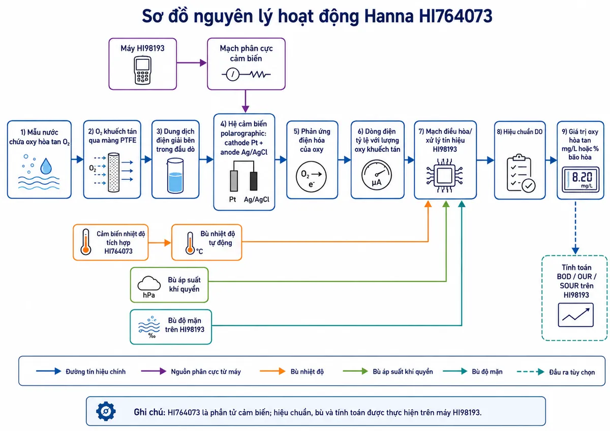Vẽ sơ đồ nguyên lý hoạt động dạng block diagram kỹ thuật của Hanna HI764073 trên nền trắng, bố cục ngang. Bắt đầu từ khối “Mẫu nước chứa oxy hòa tan O₂” → “O₂ khuếch tán qua màng PTFE” → “Dung dịch điện giải bên trong đầu dò” → “Hệ cảm biến polarographic: cathode Pt + anode Ag/AgCl”. Tạo nhánh từ “Máy HI98193” → “Mạch phân cực cảm biến” → hệ điện cực. Từ hệ điện cực → “Phản ứng điện hóa của oxy” → “Dòng điện tỷ lệ với lượng oxy khuếch tán” → “Mạch điều hòa/xử lý tín hiệu HI98193”. Tạo nhánh riêng “Cảm biến nhiệt độ tích hợp HI764073” → “Bù nhiệt độ tự động”; thêm các khối “Bù áp suất khí quyển” và “Bù độ mặn trên HI98193” hội tụ vào khối xử lý. Sau đó → “Hiệu chuẩn DO” → “Giá trị oxy hòa tan mg/L hoặc % bão hòa”. Có thể tạo nhánh từ dữ liệu DO tới “Tính toán BOD / OUR / SOUR trên HI98193”. Ghi chú HI764073 là phần tử cảm biến, còn hiệu chuẩn, bù và tính toán được thực hiện trên máy HI98193.