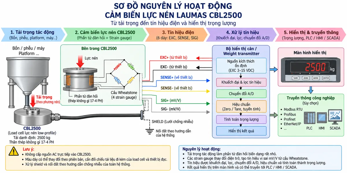 Vẽ sơ đồ nguyên lý hoạt động dạng khối cho cảm biến lực nén Laumas CBL2500 trên nền trắng, bố cục ngang. Bắt đầu từ tải trọng của platform, máy, bồn hoặc phễu truyền xuống điểm đỡ và tác động lực nén lên CBL2500 tải danh định 2500 kg. Bên trong cảm biến thể hiện phần tử đàn hồi bằng thép không gỉ 17-4 PH và các strain gauge mắc thành cầu Wheatstone. Từ bộ hiển thị cân hoặc weight transmitter vẽ EXC+/EXC- cấp điện áp kích thích tới cầu đo và SENSE+/SENSE- hồi tiếp điện áp kích thích thực tế về thiết bị đọc. Khi tải thay đổi, phần tử đàn hồi biến dạng làm điện trở strain gauge thay đổi và tạo tín hiệu vi sai SIG+/SIG- dạng mV/V. Tín hiệu tiếp tục qua các khối khuếch đại và lọc, chuyển đổi A/D, hiệu chuẩn, Zero/Tare, tính toán trọng lượng rồi tới màn hình hiển thị. Nếu bộ điện tử cân hỗ trợ giao tiếp công nghiệp, thêm nhánh dữ liệu số sau xử lý tới PLC/HMI/SCADA. Dùng mũi tên và chú thích tiếng Việt để phân biệt luồng lực cơ học, điện áp kích thích EXC, hồi tiếp SENSE, tín hiệu đo SIG dạng mV/V và dữ liệu số sau xử lý.