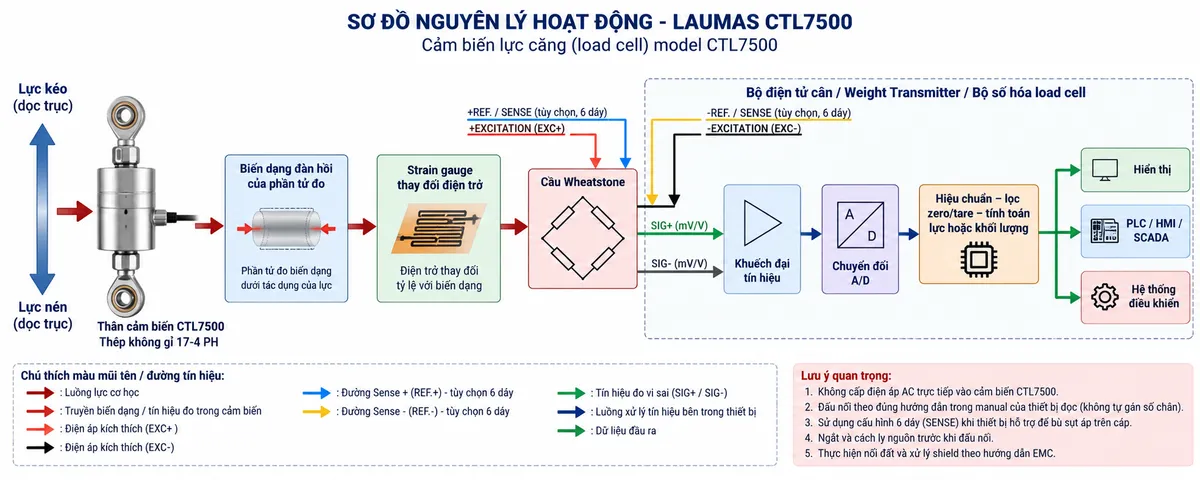 Vẽ sơ đồ nguyên lý hoạt động dạng khối cho Laumas CTL7500 trên nền trắng, bố cục ngang. Bắt đầu từ khối “Lực kéo / lực nén dọc trục” → “Thân cảm biến CTL7500 – thép không gỉ 17-4 PH” → “Biến dạng đàn hồi của phần tử đo” → “Strain gauge thay đổi điện trở” → “Cầu Wheatstone”. Từ bộ điện tử cân vẽ EXC+/EXC- cấp điện áp kích thích vào cầu Wheatstone; +REF./SENSE và -REF./SENSE là đường hồi tiếp điện áp tùy chọn khi thiết bị hỗ trợ kết nối 6 dây; từ cầu Wheatstone vẽ SIG+/SIG- là tín hiệu vi sai mV/V đi tới “Khuếch đại tín hiệu” → “Chuyển đổi A/D” → “Hiệu chuẩn – lọc – zero/tare – tính toán lực hoặc khối lượng”. Cuối sơ đồ chia ba nhánh tới “Hiển thị”, “PLC/HMI/SCADA” và “Hệ thống điều khiển”. Dùng màu và mũi tên riêng để phân biệt lực cơ học, excitation, sense, tín hiệu đo và dữ liệu số.