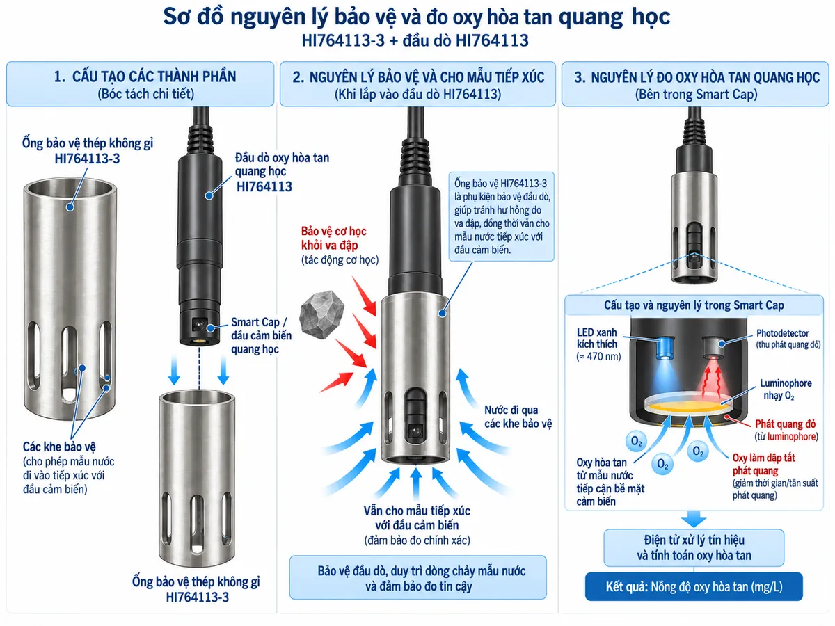 Sơ đồ nguyên lý HI764113-3 bảo vệ cơ học quanh đầu dò HI764113 trong khi nước đi qua các khe bảo vệ tới Smart Cap để thực hiện phép đo oxy hòa tan quang học