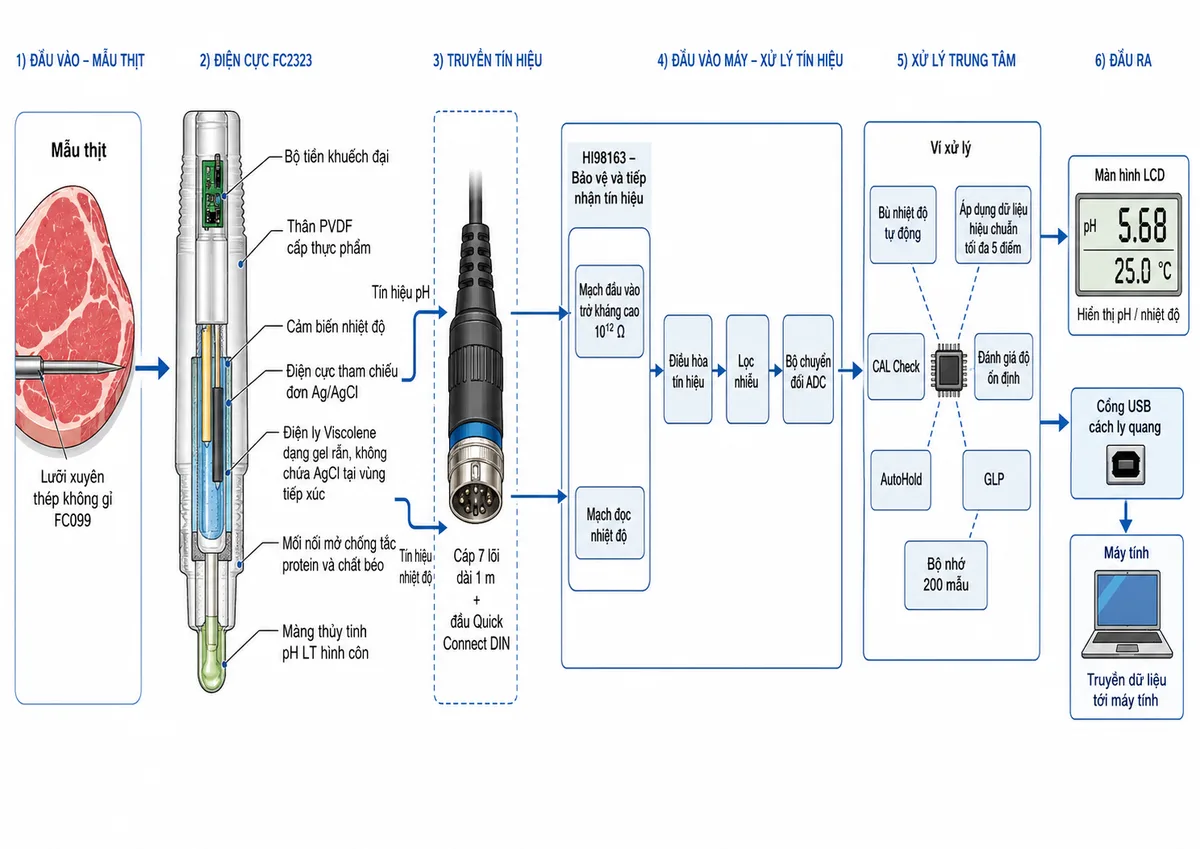Vẽ sơ đồ nguyên lý hoạt động dạng khối của máy đo pH/nhiệt độ trực tiếp trong thịt Hanna HI98163 trên nền trắng, bố cục ngang và nhãn tiếng Việt. Luồng bắt đầu từ mẫu thịt đi qua lưỡi xuyên thép không gỉ FC099 đến điện cực FC2323. Bên trong FC2323 thể hiện màng thủy tinh pH LT hình côn, điện cực tham chiếu đơn Ag/AgCl, lớp điện ly Viscolene dạng gel rắn không chứa AgCl tại vùng tiếp xúc, mối nối mở chống tắc protein và chất béo, cảm biến nhiệt độ, thân PVDF cấp thực phẩm và bộ tiền khuếch đại. Tách thành hai đường tín hiệu pH và nhiệt độ, truyền qua cáp 7 lõi dài 1 m cùng đầu Quick Connect DIN đến khối bảo vệ và tiếp nhận tín hiệu của HI98163. Tiếp theo là mạch đầu vào trở kháng cao 10¹² Ω, mạch đọc nhiệt độ, điều hòa tín hiệu, lọc nhiễu và bộ chuyển đổi ADC. Sau ADC là vi xử lý với các khối bù nhiệt độ tự động, áp dụng dữ liệu hiệu chuẩn tối đa 5 điểm, CAL Check, đánh giá độ ổn định, AutoHold, GLP và bộ nhớ 200 mẫu. Đầu ra gồm màn hình LCD hiển thị pH/nhiệt độ và cổng USB cách ly quang truyền dữ liệu tới máy tính.