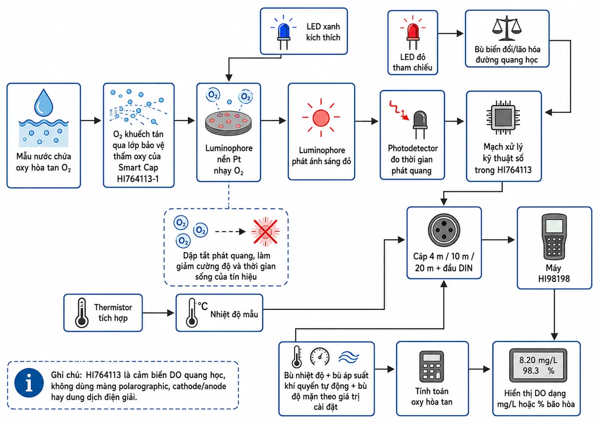 Vẽ sơ đồ nguyên lý hoạt động dạng block diagram kỹ thuật của Hanna HI764113 trên nền trắng, bố cục ngang. Bắt đầu từ khối “Mẫu nước chứa oxy hòa tan O₂” → “O₂ khuếch tán qua lớp bảo vệ thấm oxy của Smart Cap HI764113-1” → “Luminophore nền Pt nhạy O₂”. Tạo nhánh “LED xanh kích thích” chiếu vào luminophore → “Luminophore phát ánh sáng đỏ”; từ O₂ tạo tác động “dập tắt phát quang, làm giảm cường độ và thời gian sống của tín hiệu”. Từ ánh sáng phát quang → “Photodetector đo thời gian phát quang” → “Mạch xử lý kỹ thuật số trong HI764113”. Tạo nhánh riêng “LED đỏ tham chiếu” → “Bù biến đổi/lão hóa đường quang học” → mạch xử lý. Tạo nhánh “Thermistor tích hợp” → “Nhiệt độ mẫu”. Hợp nhất tín hiệu DO và nhiệt độ qua cáp 4 m/10 m/20 m + đầu DIN → “Máy HI98198” → “Bù nhiệt độ + bù áp suất khí quyển tự động + bù độ mặn theo giá trị cài đặt” → “Tính toán oxy hòa tan” → “Hiển thị DO dạng mg/L hoặc % bão hòa”. Ghi chú đây là cảm biến DO quang học, không dùng màng polarographic, cathode/anode hay dung dịch điện giải.