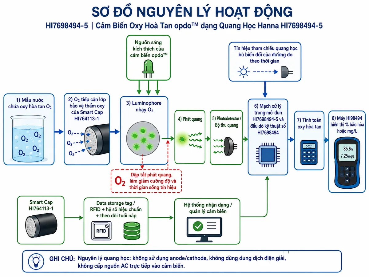 Vẽ sơ đồ nguyên lý hoạt động dạng block diagram kỹ thuật của Hanna HI7698494-5 trên nền trắng, bố cục ngang. Bắt đầu từ khối “Mẫu nước chứa oxy hòa tan O₂” → “O₂ tiếp cận lớp bảo vệ thấm oxy của Smart Cap HI764113-1” → “Luminophore nhạy O₂”. Tạo nhánh “Nguồn sáng kích thích của cảm biến opdo™” chiếu vào luminophore → “Phát quang”. Từ O₂ tạo tác động “Dập tắt phát quang, làm giảm cường độ và thời gian sống tín hiệu”. Từ tín hiệu phát quang → “Photodetector/Bộ thu quang” → “Mạch xử lý trong mô-đun HI7698494-5 và đầu dò kỹ thuật số HI7698494” → “Tính toán oxy hòa tan” → “Máy HI98494 hiển thị % bão hòa hoặc mg/L”. Tạo nhánh “Tín hiệu tham chiếu quang học” vào khối xử lý để bù biến đổi của đường đo theo thời gian. Tạo nhánh Smart Cap gồm “Data storage tag/RFID + hệ số hiệu chuẩn + theo dõi tuổi nắp” → hệ thống nhận dạng/quản lý cảm biến. Ghi chú nguyên lý quang học không sử dụng anode/cathode, dung dịch điện giải hoặc cấp nguồn AC trực tiếp vào cảm biến.