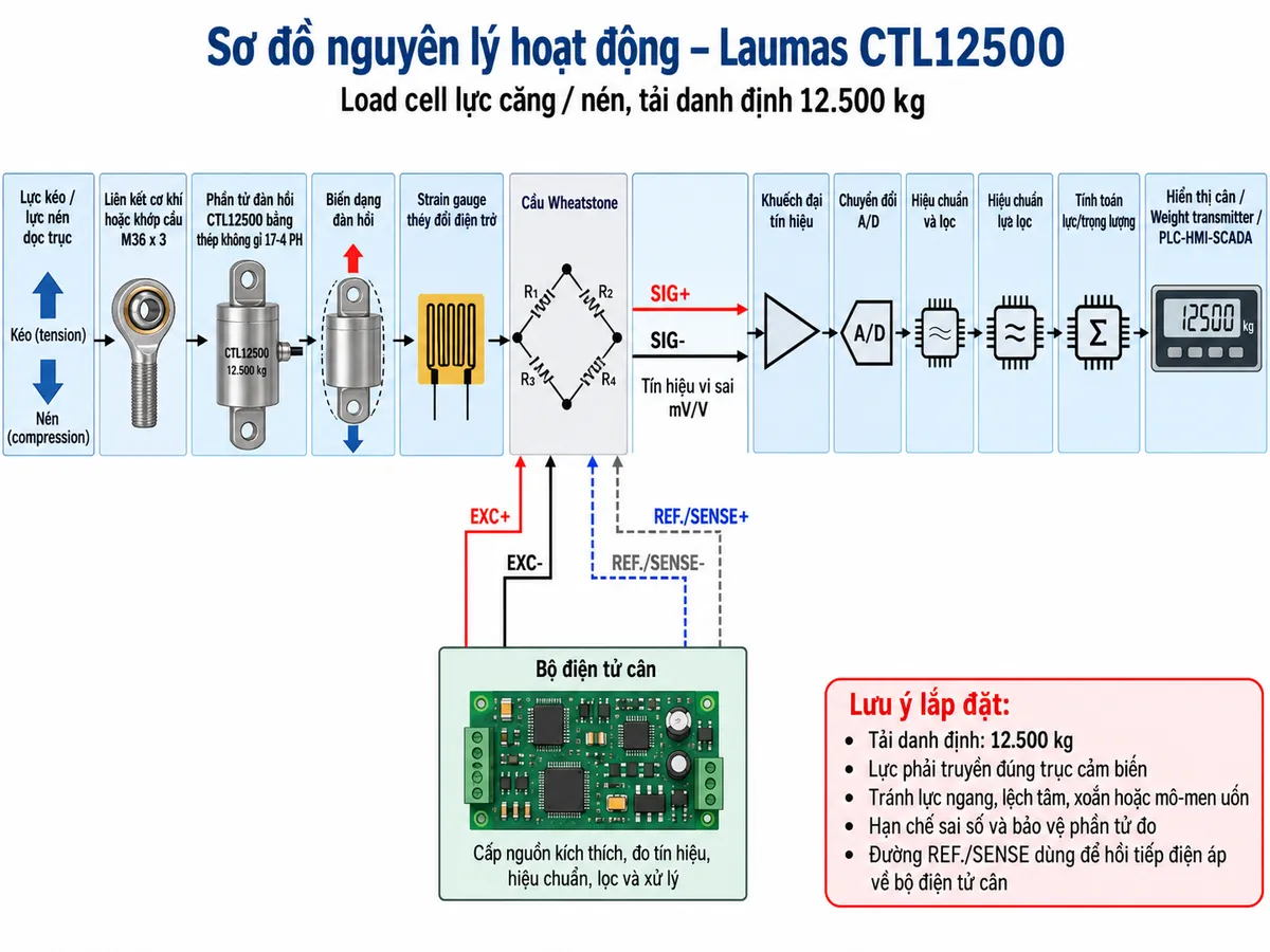 Vẽ sơ đồ nguyên lý hoạt động dạng khối cho Laumas CTL12500 trên nền trắng, bố cục ngang. Bắt đầu từ “Lực kéo / lực nén dọc trục” → “Liên kết cơ khí hoặc khớp cầu M36 x 3” → “Phần tử đàn hồi CTL12500 bằng thép không gỉ 17-4 PH” → “Biến dạng đàn hồi” → “Strain gauge thay đổi điện trở” → “Cầu Wheatstone”. Từ “Bộ điện tử cân” vẽ EXC+/EXC- cấp điện áp kích thích vào cầu Wheatstone; REF./SENSE+ và REF./SENSE- là đường hồi tiếp điện áp về thiết bị điện tử cân. Từ cầu Wheatstone vẽ SIG+/SIG- là tín hiệu vi sai mV/V đi tới “Khuếch đại tín hiệu” → “Chuyển đổi A/D” → “Hiệu chuẩn và lọc” → “Tính toán lực/trọng lượng” → “Hiển thị cân / Weight transmitter / PLC-HMI-SCADA”. Ghi chú rõ CTL12500 có tải danh định 12.500 kg; lực phải truyền đúng trục cảm biến và cần tránh lực ngang, lệch tâm, xoắn hoặc mô-men uốn để hạn chế sai số và bảo vệ phần tử đo.