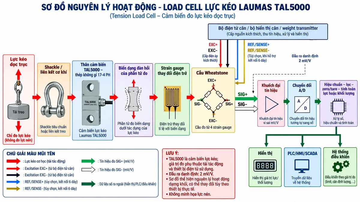 Vẽ sơ đồ nguyên lý hoạt động dạng khối cho Laumas TAL5000 trên nền trắng, bố cục ngang. Bắt đầu từ khối “Lực kéo dọc trục” → “Shackle / liên kết cơ khí” → “Thân cảm biến TAL5000 – thép không gỉ 17-4 PH” → “Biến dạng đàn hồi của phần tử đo” → “Strain gauge thay đổi điện trở” → “Cầu Wheatstone”. Từ bộ điện tử cân vẽ EXC+/EXC- cấp điện áp kích thích vào cầu Wheatstone; +REF./SENSE và -REF./SENSE là đường hồi tiếp điện áp tùy chọn khi thiết bị hỗ trợ kết nối 6 dây; từ cầu Wheatstone vẽ SIG+/SIG- là tín hiệu vi sai mV/V, đầu ra danh định 2 mV/V, đi tới “Khuếch đại tín hiệu” → “Chuyển đổi A/D” → “Hiệu chuẩn – lọc – zero/tare – tính toán lực hoặc khối lượng”. Cuối sơ đồ chia ba nhánh tới “Hiển thị”, “PLC/HMI/SCADA” và “Hệ thống điều khiển”. Dùng màu và mũi tên khác nhau để phân biệt luồng lực kéo cơ học, nguồn excitation, đường sense, tín hiệu đo và dữ liệu số.