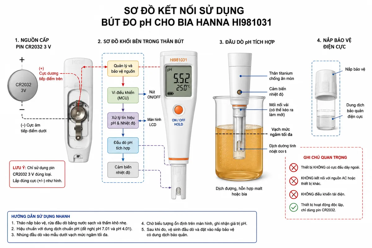 Sơ đồ kết nối sử dụng Bút Đo pH Cho Bia Hanna HI981031, nền trắng, bố cục ngang và nhãn tiếng Việt; thể hiện pin CR2032 3 V với cực dương và cực âm nối vào tiếp điểm khoang pin, khối quản lý và bảo vệ nguồn bên trong thân bút, nút ON/OFF, màn hình LCD và đầu dò pH tích hợp; phần đầu đo gồm thân titanium, đầu thủy tinh pH phẳng, mối nối vải có thể kéo ra và cảm biến nhiệt độ, được nhúng dưới vạch mức ngâm tối đa trong cốc chứa dịch đường, hỗn hợp malt hoặc bia; vẽ nắp bảo vệ có dung dịch bảo quản điện cực; ghi chú rõ thiết bị không có cực đấu dây ngoài, không nối nguồn AC, không điều khiển tải điện và chỉ sử dụng pin CR2032 đúng loại.