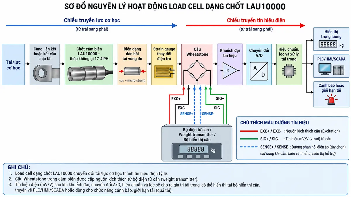 Vẽ sơ đồ đấu dây/kết nối kỹ thuật cho cảm biến lực dạng chốt Laumas LAU20000 trên nền trắng, bố cục ngang. Bên trái thể hiện tải cơ khí truyền qua càng liên kết hoặc hai bản mã vào chốt load cell LAU20000; ở giữa thể hiện chốt cảm biến bằng thép không gỉ 17-4 PH và cáp tiêu chuẩn đi sang thiết bị điện tử cân. Bên phải là bộ hiển thị cân, weight transmitter hoặc bộ số hóa load cell tương thích. Thể hiện đúng các dây theo datasheet dòng LAU: +SIGNAL/SIG+ màu xanh lá, -SIGNAL/SIG- màu trắng, +EXCITATION/EXC+ màu đỏ, -EXCITATION/EXC- màu đen, +REF./SENSE màu xanh dương, -REF./SENSE màu nâu và SHIELD chống nhiễu. Vẽ mũi tên EXC+/EXC- từ thiết bị điện tử tới cảm biến, SIG+/SIG- từ cảm biến về thiết bị và đường REF./SENSE hồi tiếp khi thiết bị hỗ trợ. Vẽ nguồn cấp riêng cho bộ hiển thị hoặc transmitter đi qua cầu chì/MCB hoặc thiết bị bảo vệ phù hợp và thiết bị cách ly trước khi vào bộ điện tử. Ghi chú rõ “Không cấp điện lưới trực tiếp cho load cell”, “SHIELD đấu theo hướng dẫn chống nhiễu của hệ thống” và “Đối chiếu manual LAU20000 trước khi đấu nối”.