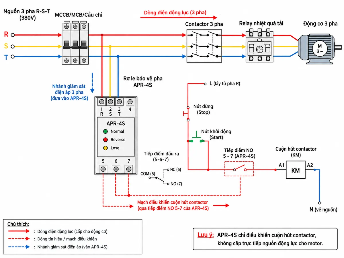 Vẽ sơ đồ đấu dây kỹ thuật cho Rơ le Bảo Vệ Pha Anly APR-4S trên nền trắng, bố cục ngang. Bên trái thể hiện nguồn điện ba pha R-S-T đi qua MCCB hoặc MCB/cầu chì bảo vệ; từ ba pha này tách nhánh đưa vào các cực giám sát R, S, T của APR-4S theo đúng ký hiệu trên thiết bị. Ở phần đầu ra relay APR-4S thể hiện rõ COM chân 5, NC chân 6 và NO chân 7, trong đó tiếp điểm N.O. 5-7 được mắc nối tiếp trong mạch điều khiển cuộn hút contactor. Vẽ contactor ba pha với tiếp điểm chính cấp nguồn cho động cơ ba pha và relay nhiệt bảo vệ quá tải ở mạch động lực. Thể hiện rõ APR-4S chỉ điều khiển cuộn hút contactor, không cấp trực tiếp dòng động lực cho motor. Ghi các LED Normal, Reverse và Lose trên mặt relay; dùng mũi tên thể hiện luồng nguồn và tín hiệu điều khiển.