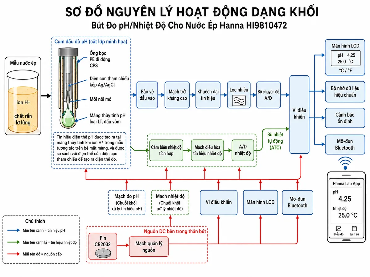 Vẽ sơ đồ nguyên lý hoạt động dạng khối của Bút Đo pH/Nhiệt Độ Cho Nước Ép Hanna HI9810472, nền trắng, bố cục ngang, phong cách kỹ thuật đo lường và nhãn tiếng Việt. Luồng chính bắt đầu từ mẫu nước ép chứa ion H+ và chất rắn lơ lửng, đi tới màng thủy tinh pH loại LT có đầu vòm; tín hiệu điện thế được so sánh với điện cực tham chiếu kép Ag/AgCl qua mối nối mở và ống bọc PE di động CPS. Tiếp theo là bảo vệ đầu vào, mạch trở kháng cao, khuếch đại tín hiệu, lọc nhiễu, bộ chuyển đổi A/D và vi điều khiển. Vẽ nhánh riêng từ cảm biến nhiệt độ tích hợp qua mạch điều hòa tín hiệu và A/D tới vi điều khiển để bù nhiệt tự động. Từ vi điều khiển phân nhánh tới màn hình LCD hiển thị pH và °C hoặc °F, bộ nhớ dữ liệu hiệu chuẩn, cảnh báo ổn định và mô-đun Bluetooth truyền dữ liệu tới Hanna Lab App. Bổ sung nhánh nguồn từ pin CR2032 qua mạch quản lý nguồn cấp cho toàn bộ các khối.