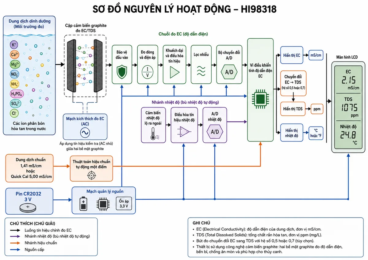 Vẽ sơ đồ nguyên lý hoạt động dạng khối của Bút Đo EC/TDS/Nhiệt Độ Trong Thủy Canh GroLine Hanna HI98318, nền trắng, bố cục ngang, phong cách kỹ thuật đo lường và nhãn tiếng Việt; luồng chính bắt đầu từ dung dịch dinh dưỡng chứa nước và các ion phân bón hòa tan đi tới cặp cảm biến graphite; mạch kích thích đo EC tạo tín hiệu kiểm tra giữa hai bề mặt graphite, dòng dẫn ion đi qua khối bảo vệ đầu vào, đo dòng và điện áp, khuếch đại và điều hòa tín hiệu, lọc nhiễu, bộ chuyển đổi A/D rồi tới vi điều khiển tính độ dẫn điện EC; vẽ nhánh riêng từ cảm biến nhiệt độ lộ ra ngoài qua điều hòa tín hiệu và A/D tới vi điều khiển để bù nhiệt độ tự động; từ vi điều khiển chia thành nhánh hiển thị EC mS/cm, nhánh chuyển đổi EC sang TDS theo hệ số lựa chọn 0,5 hoặc 0,7 để hiển thị ppm, và nhánh hiển thị nhiệt độ °C hoặc °F; bổ sung nhánh hiệu chuẩn từ dung dịch chuẩn 1,41 mS/cm hoặc Quick Cal 5,00 mS/cm tới thuật toán hiệu chuẩn tự động một điểm; vẽ nhánh nguồn từ pin CR2032 qua mạch quản lý nguồn tới các khối điện tử và màn hình LCD