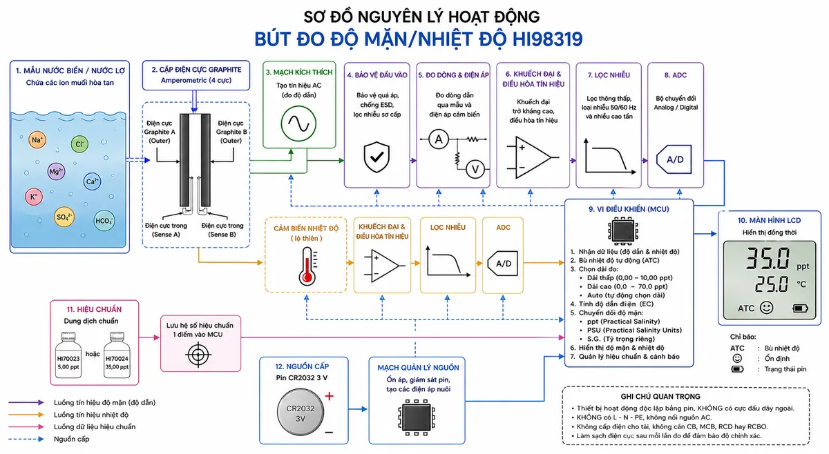 Sơ đồ nguyên lý hoạt động dạng khối của Bút Đo Độ Mặn/Nhiệt Độ Hanna HI98319, nền trắng, bố cục ngang, phong cách kỹ thuật đo lường và nhãn tiếng Việt; luồng chính bắt đầu từ mẫu nước biển hoặc nước lợ chứa các ion muối hòa tan đi tới cặp điện cực graphite amperometric; mạch kích thích tạo tín hiệu đo giữa hai bề mặt graphite, dòng dẫn ion đi qua khối bảo vệ đầu vào, khối đo dòng và điện áp, khuếch đại và điều hòa tín hiệu, lọc nhiễu, bộ chuyển đổi A/D rồi tới vi điều khiển; vẽ nhánh riêng từ cảm biến nhiệt độ lộ thiên qua điều hòa tín hiệu và A/D tới vi điều khiển để bù nhiệt độ tự động; tại vi điều khiển thể hiện lựa chọn dải thấp, dải cao hoặc Auto, tính độ dẫn điện và chuyển đổi sang ppt, PSU hoặc S.G., sau đó đưa kết quả độ mặn và nhiệt độ tới màn hình LCD; bổ sung nhánh hiệu chuẩn từ dung dịch chuẩn HI70023 5,00 ppt hoặc HI70024 35,00 ppt tới vi điều khiển và nhánh nguồn từ pin CR2032 qua mạch quản lý nguồn.