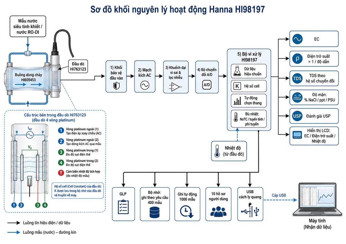 Vẽ sơ đồ khối nguyên lý hoạt động của Hanna HI98197 trên nền trắng, bố cục ngang. Luồng bắt đầu từ mẫu nước siêu tinh khiết chảy kín qua buồng HI605453 đến đầu dò HI763123. Bên trong đầu dò thể hiện hai vòng platinum ngoài tạo điện áp xoay chiều và dòng kích qua mẫu, hai vòng platinum trong đo độ sụt điện thế, cảm biến nhiệt độ tích hợp và hệ số cell của đầu dò. Tín hiệu đi qua khối bảo vệ đầu vào, mạch kích AC, khuếch đại vi sai và lọc nhiễu, bộ chuyển đổi A/D rồi vào bộ vi xử lý HI98197. Bộ vi xử lý áp dụng dữ liệu hiệu chuẩn, hệ số cell, tự động chọn thang và bù nhiệt NoTC, tuyến tính hoặc phi tuyến. Từ EC chia thành các nhánh: tính điện trở suất bằng nghịch đảo độ dẫn; tính TDS theo hệ số chuyển đổi; tính độ mặn theo % NaCl, ppt hoặc PSU; đánh giá USP; hiển thị EC, điện trở suất và nhiệt độ trên LCD. Thêm các khối GLP, bộ nhớ ghi theo yêu cầu 400 mẫu, ghi tự động 1000 mẫu, 10 hồ sơ người dùng và USB cách ly quang truyền dữ liệu đến máy tính.