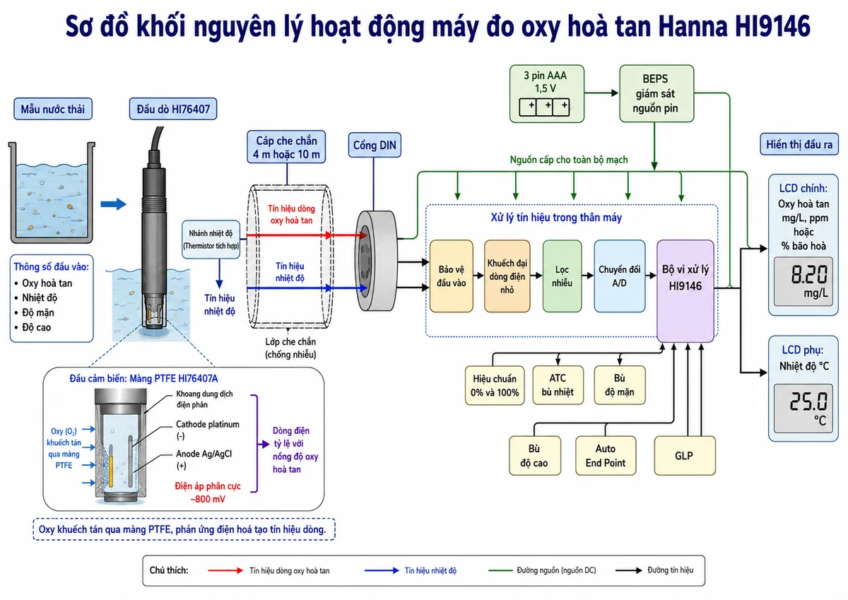 Vẽ sơ đồ khối nguyên lý hoạt động của Hanna HI9146 trên nền trắng, bố cục ngang. Luồng bắt đầu từ mẫu nước thải chứa oxy hòa tan, nhiệt độ, độ mặn và điều kiện độ cao. Oxy khuếch tán qua màng PTFE HI76407A vào khoang dung dịch điện phân của đầu dò HI76407; thể hiện cathode platinum, anode bạc/clorua bạc và điện áp phân cực khoảng 800 mV tạo dòng điện tỷ lệ với nồng độ oxy. Tách một nhánh từ thermistor tích hợp tạo tín hiệu nhiệt độ. Hai tín hiệu truyền qua cáp che chắn 4 m hoặc 10 m và cổng DIN đến khối bảo vệ đầu vào, khuếch đại dòng điện nhỏ, lọc nhiễu và chuyển đổi A/D. Tiếp theo là bộ vi xử lý HI9146 nhận dữ liệu hiệu chuẩn 0% và 100%, thực hiện bù nhiệt ATC, bù độ mặn, bù độ cao, kiểm tra độ ổn định Auto End Point và quản lý GLP. Đầu ra hiển thị oxy hòa tan theo mg/L, ppm hoặc phần trăm bão hòa trên LCD chính và nhiệt độ trên LCD phụ; thêm khối BEPS giám sát nguồn pin.