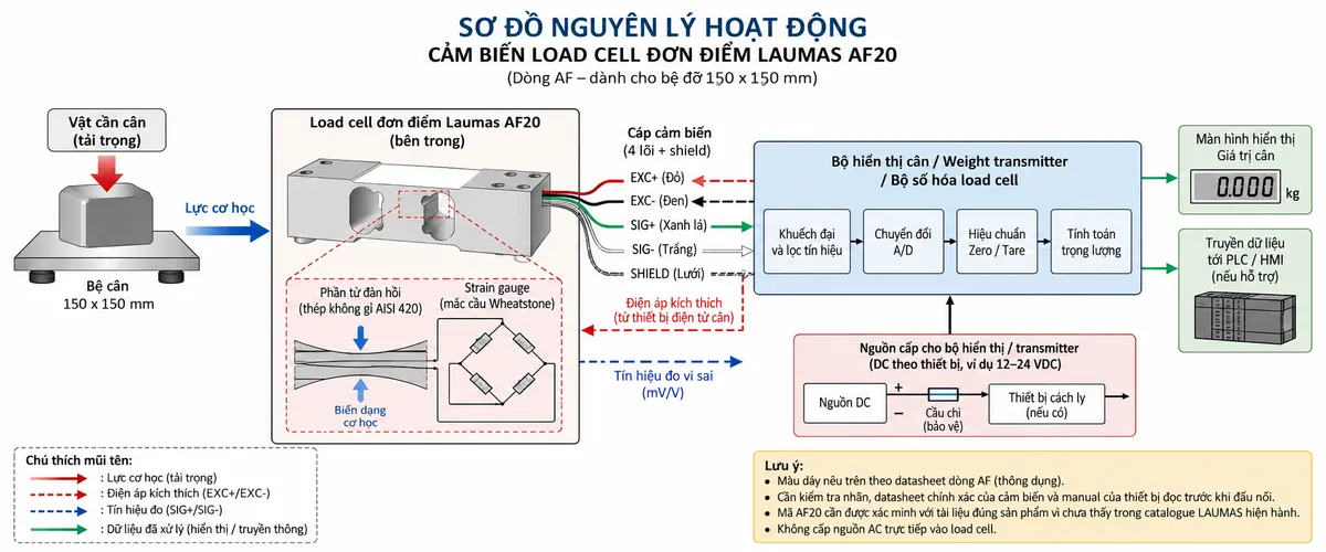 Vẽ sơ đồ nguyên lý hoạt động dạng khối cho cảm biến Laumas dòng AF được ghi mã AF20, nền trắng, bố cục ngang. Bắt đầu từ vật cần cân tác động lực cơ học lên bệ cân, lực truyền tới load cell single-point; bên trong load cell thể hiện phần tử đàn hồi bằng thép không gỉ AISI 420 và bốn strain gauge mắc thành cầu Wheatstone. Từ bộ hiển thị hoặc weight transmitter có nhánh điện áp kích thích EXC+/EXC- cấp vào cầu đo. Khi chịu tải, phần tử đàn hồi biến dạng, điện trở strain gauge thay đổi và tạo tín hiệu vi sai SIG+/SIG- dạng mV/V. Tín hiệu đi tiếp qua khối khuếch đại và lọc, chuyển đổi A/D, hiệu chuẩn/Zero/Tare, tính toán trọng lượng rồi tới màn hình hiển thị hoặc PLC/HMI nếu thiết bị điện tử cân hỗ trợ. Phân biệt rõ bằng mũi tên luồng lực cơ học, điện áp kích thích, tín hiệu đo và dữ liệu đã xử lý; ghi chú mã AF20 cần được xác minh với tài liệu đúng sản phẩm trước khi dùng thông số tải riêng.