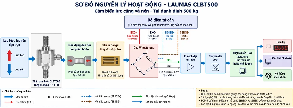 Vẽ sơ đồ nguyên lý hoạt động dạng khối cho Laumas CLBT500 trên nền trắng, bố cục ngang. Luồng chính từ trái sang phải gồm “Lực kéo / lực nén dọc trục” → “Thân cảm biến CLBT500 – thép không gỉ 17-4 PH” → “Biến dạng đàn hồi của phần tử đo” → “Strain gauge thay đổi điện trở” → “Cầu Wheatstone”. Từ bộ điện tử cân phía trên vẽ EXC+/EXC- cấp điện áp kích thích vào cầu Wheatstone; REF./SENSE+ và REF./SENSE- là hai đường hồi tiếp điện áp của cấu hình 6 dây; từ cầu Wheatstone vẽ SIG+/SIG- là tín hiệu vi sai mV/V tỷ lệ với lực đi tới “Khuếch đại tín hiệu” → “Chuyển đổi A/D” → “Hiệu chuẩn – lọc – zero/tare – tính toán lực hoặc khối lượng”. Cuối sơ đồ chia ba nhánh tới “Hiển thị”, “PLC/HMI/SCADA” và “Hệ thống điều khiển”. Dùng màu và mũi tên riêng để phân biệt lực cơ học, excitation, sense, tín hiệu đo analog và dữ liệu số.