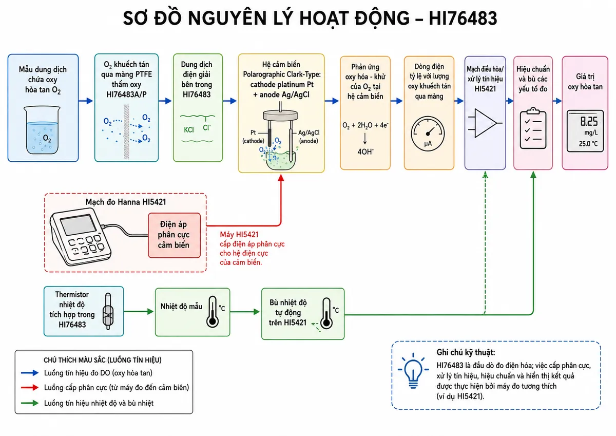 Vẽ sơ đồ nguyên lý hoạt động dạng block diagram kỹ thuật của Hanna HI76483 trên nền trắng, bố cục ngang. Bắt đầu từ khối “Mẫu dung dịch chứa oxy hòa tan O₂” → “O₂ khuếch tán qua màng PTFE thấm oxy HI76483A/P” → “Dung dịch điện giải bên trong HI76483” → “Hệ cảm biến Polarographic Clark-Type: cathode platinum Pt + anode Ag/AgCl”. Tạo nhánh từ “Mạch đo Hanna HI5421” → “Điện áp phân cực cảm biến” → hệ điện cực. Từ hệ điện cực → “Phản ứng oxy hóa - khử của O₂ tại hệ cảm biến” → “Dòng điện tỷ lệ với lượng oxy khuếch tán qua màng” → “Mạch điều hòa/xử lý tín hiệu HI5421” → “Hiệu chuẩn và bù các yếu tố đo” → “Giá trị oxy hòa tan”. Tạo nhánh riêng “Thermistor nhiệt độ tích hợp trong HI76483” → “Nhiệt độ mẫu” → “Bù nhiệt độ tự động trên HI5421” và kết hợp vào khối xử lý DO. Ghi chú đầu dò HI76483 là phần tử đo điện hóa, còn việc cấp phân cực, xử lý, hiệu chuẩn và hiển thị kết quả được thực hiện bởi máy đo tương thích.