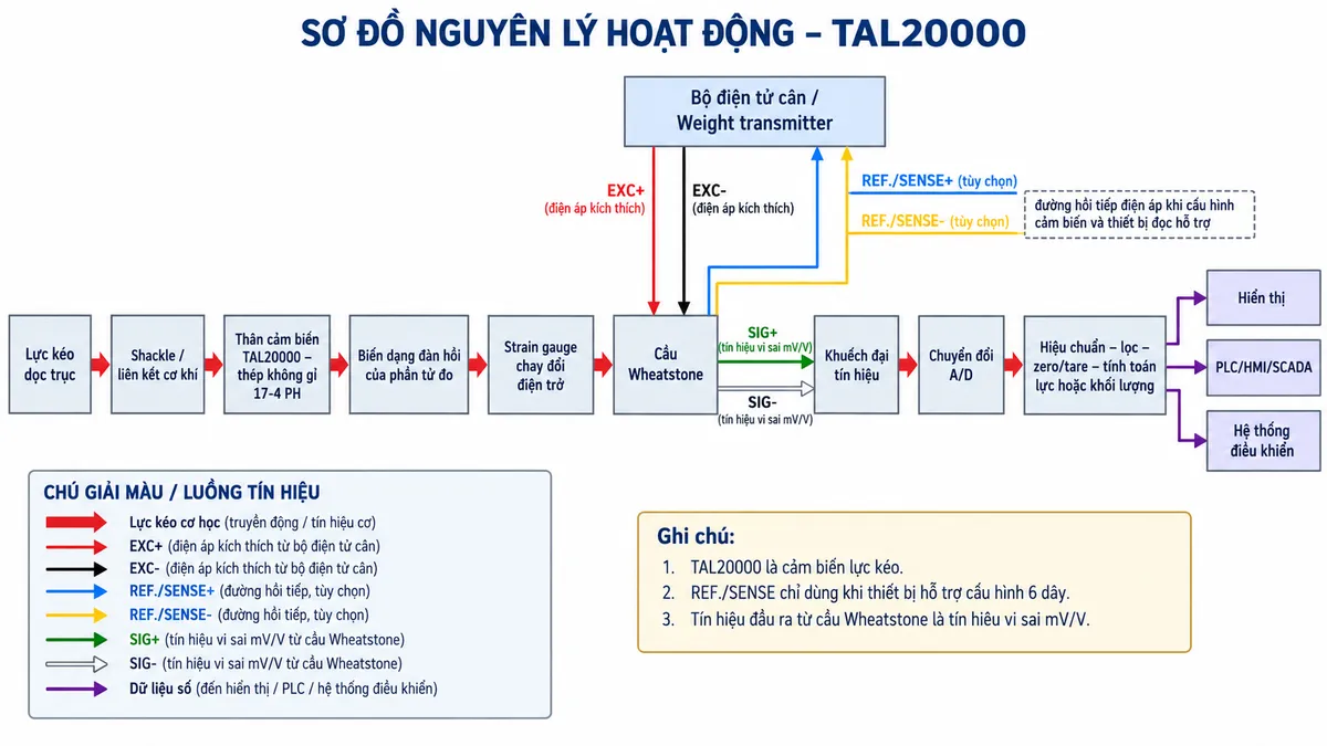 Vẽ sơ đồ nguyên lý hoạt động dạng khối cho Laumas TAL20000 trên nền trắng, bố cục ngang. Bắt đầu từ “Lực kéo dọc trục” → “Shackle / liên kết cơ khí” → “Thân cảm biến TAL20000 – thép không gỉ 17-4 PH” → “Biến dạng đàn hồi của phần tử đo” → “Strain gauge thay đổi điện trở” → “Cầu Wheatstone”. Từ bộ điện tử cân vẽ EXC+/EXC- cấp điện áp kích thích vào cầu Wheatstone; REF./SENSE+/REF./SENSE- là đường hồi tiếp điện áp tùy chọn khi cấu hình cảm biến và thiết bị đọc hỗ trợ. Từ cầu Wheatstone vẽ SIG+/SIG- là tín hiệu vi sai đi tới “Khuếch đại tín hiệu” → “Chuyển đổi A/D” → “Hiệu chuẩn – lọc – zero/tare – tính toán lực hoặc khối lượng”. Cuối sơ đồ chia ba nhánh tới “Hiển thị”, “PLC/HMI/SCADA” và “Hệ thống điều khiển”. Dùng màu và mũi tên riêng để phân biệt luồng lực kéo cơ học, excitation, sense, tín hiệu đo và dữ liệu số.