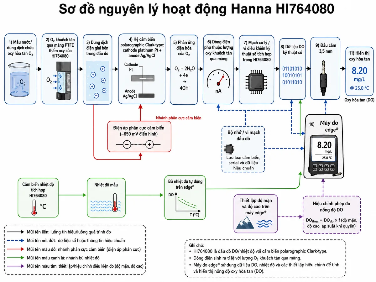 Vẽ sơ đồ nguyên lý hoạt động dạng block diagram kỹ thuật của Hanna HI764080 trên nền trắng, bố cục ngang. Bắt đầu từ khối “Mẫu nước/dung dịch chứa oxy hòa tan O₂” → “O₂ khuếch tán qua màng PTFE thấm oxy của HI764080” → “Dung dịch điện giải bên trong đầu dò” → “Hệ cảm biến polarographic Clark-type: cathode platinum Pt + anode Ag/AgCl”. Tạo nhánh từ “Mạch điện tử HI764080 / máy edge®” → “Điện áp phân cực cảm biến” → hệ điện cực. Từ hệ điện cực → “Phản ứng điện hóa của O₂” → “Dòng điện phụ thuộc lượng oxy khuếch tán qua màng” → “Mạch xử lý/vi điều khiển kỹ thuật số tích hợp trong HI764080” → “Dữ liệu DO kỹ thuật số” → “Đầu cắm 3,5 mm” → “Máy đo edge®” → “Hiển thị oxy hòa tan”. Tạo nhánh riêng “Cảm biến nhiệt độ tích hợp HI764080” → “Nhiệt độ mẫu” → “Bù nhiệt độ tự động trên edge®”. Thêm khối “Bộ nhớ/vi mạch đầu dò” lưu loại cảm biến, serial và dữ liệu hiệu chuẩn rồi truyền sang edge®. Có thể thể hiện nhánh thiết lập độ mặn và độ cao trên máy edge® tham gia hiệu chỉnh phép đo nồng độ DO.