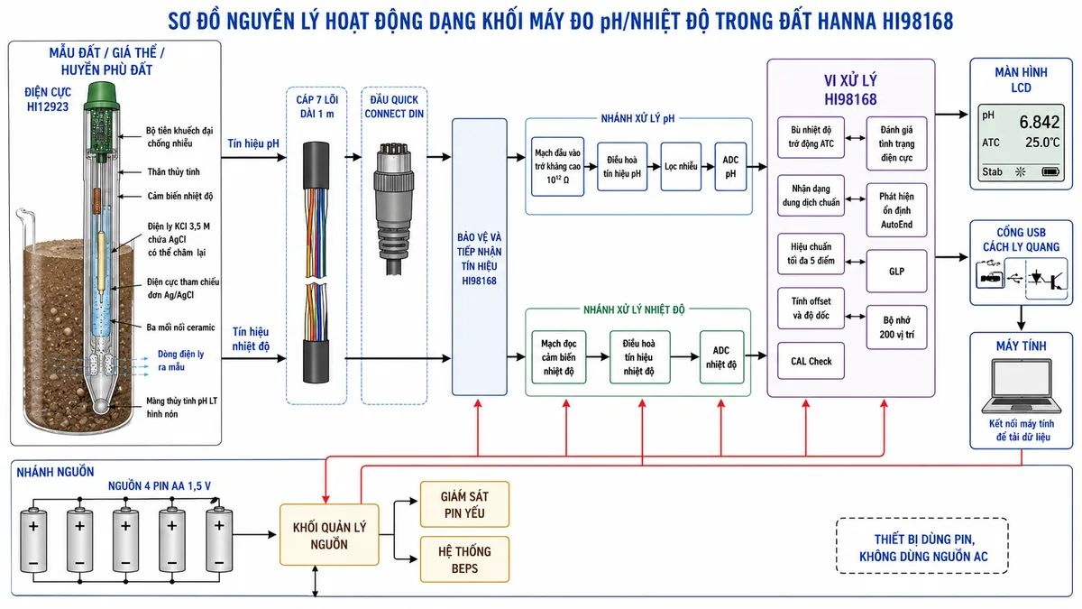 Vẽ sơ đồ nguyên lý hoạt động dạng khối của Hanna HI98168 trên nền trắng, bố cục ngang và nhãn tiếng Việt. Luồng bắt đầu từ mẫu đất, giá thể hoặc huyền phù đất đi vào điện cực HI12923. Bên trong điện cực thể hiện màng thủy tinh pH LT hình nón, điện cực tham chiếu đơn Ag/AgCl, điện ly KCl 3,5 M chứa AgCl có thể châm lại, ba mối nối ceramic với dòng điện ly ra mẫu, cảm biến nhiệt độ, thân thủy tinh và bộ tiền khuếch đại chống nhiễu. Tách thành đường tín hiệu pH và nhiệt độ, truyền qua cáp 7 lõi dài 1 m cùng đầu Quick Connect DIN tới khối bảo vệ và tiếp nhận tín hiệu của HI98168. Nhánh pH đi qua mạch đầu vào trở kháng cao 10¹² Ω, điều hòa tín hiệu, lọc nhiễu và ADC; nhánh nhiệt độ đi qua mạch đọc cảm biến, điều hòa và ADC. Sau ADC là vi xử lý gồm bù nhiệt độ tự động ATC, nhận dạng dung dịch chuẩn, hiệu chuẩn tối đa 5 điểm, tính offset và độ dốc, CAL Check, đánh giá tình trạng điện cực, phát hiện ổn định AutoEnd, GLP và bộ nhớ 200 vị trí. Đầu ra tới màn hình LCD và cổng USB cách ly quang nối máy tính. Thể hiện thêm nhánh nguồn 4 pin AA qua quản lý nguồn và BEPS cấp cho toàn bộ máy.