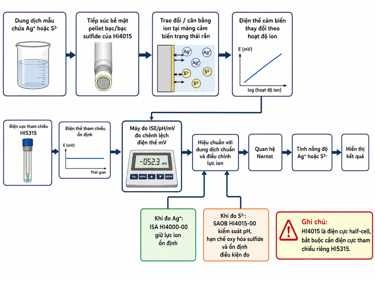 Vẽ sơ đồ nguyên lý hoạt động dạng block diagram kỹ thuật của Hanna HI4015 trên nền trắng, bố cục ngang. Bắt đầu từ khối “Dung dịch mẫu chứa Ag+ hoặc S2-” → “Tiếp xúc bề mặt pellet bạc/bạc sulfide của HI4015” → “Trao đổi/cân bằng ion tại màng cảm biến trạng thái rắn” → “Điện thế cảm biến thay đổi theo hoạt độ ion”. Tạo nhánh song song “Điện cực tham chiếu HI5315” → “Điện thế tham chiếu ổn định”. Hai nhánh hợp nhất tại “Máy đo ISE/pH/mV đo chênh lệch điện thế mV” → “Hiệu chuẩn với dung dịch chuẩn và điều chỉnh lực ion” → “Quan hệ Nernst” → “Tính nồng độ Ag+ hoặc S2-” → “Hiển thị kết quả”. Thêm nhánh khi đo Ag+: “ISA HI4000-00 giữ lực ion ổn định”; nhánh khi đo S2-: “SAOB HI4015-00 kiểm soát pH, hạn chế oxy hóa sulfide và ổn định điều kiện đo”. Ghi chú HI4015 là half-cell nên bắt buộc cần điện cực tham chiếu riêng.